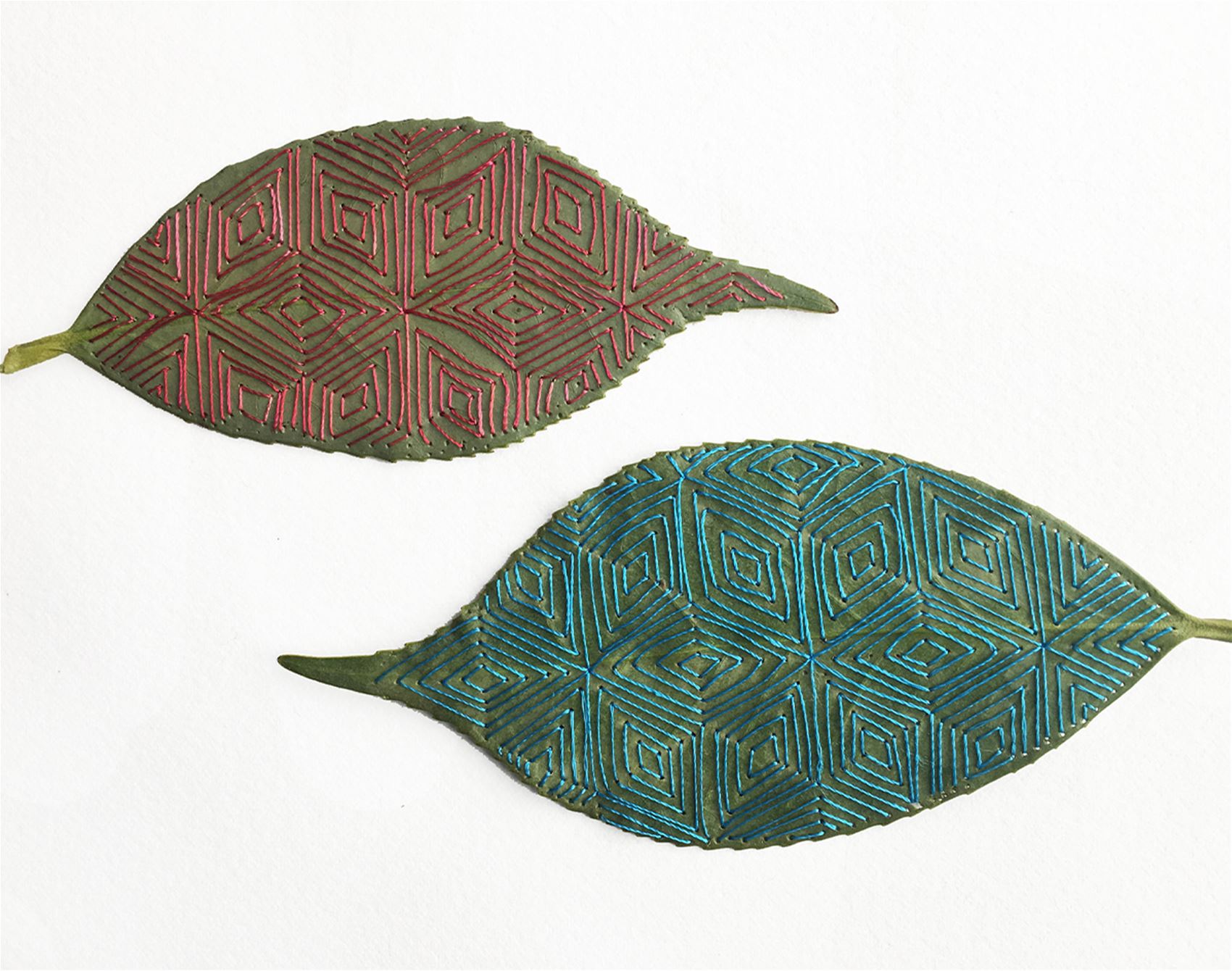 this artist delicately cuts and stitches botanicals by hand