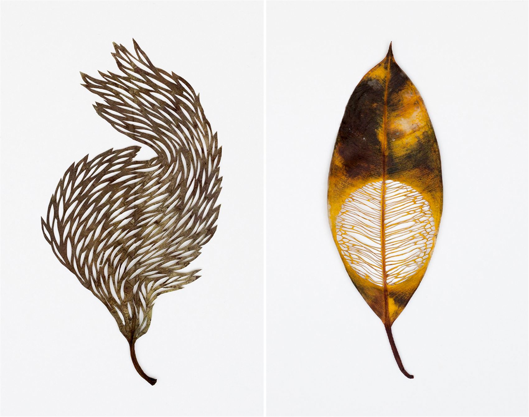 this artist delicately cuts and stitches botanicals by hand