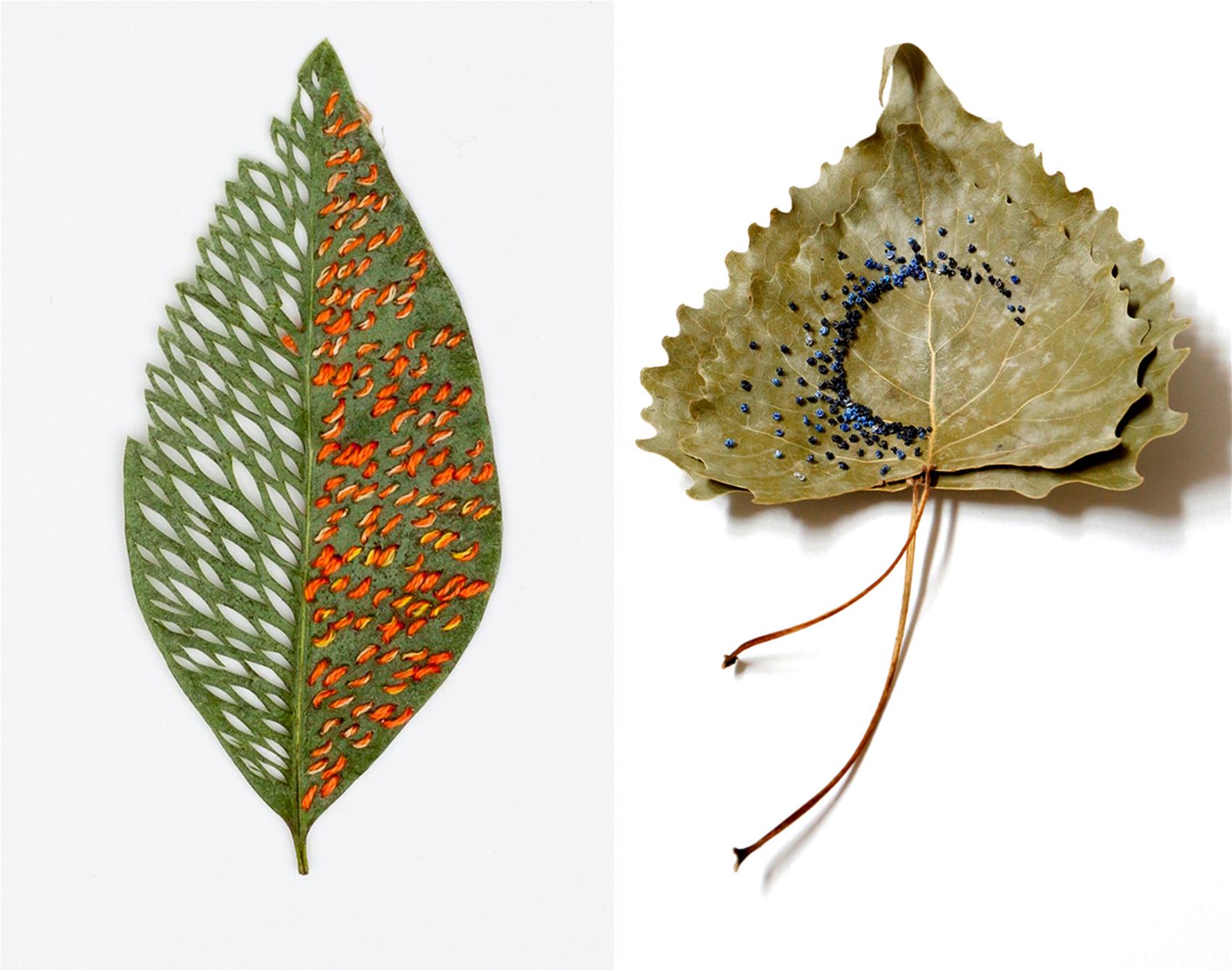 this artist delicately cuts and stitches botanicals by hand