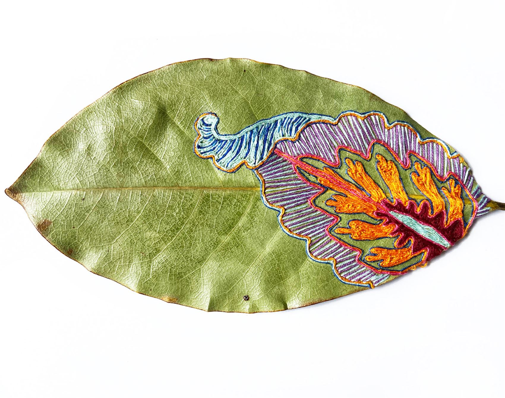 this artist delicately cuts and stitches botanicals by hand