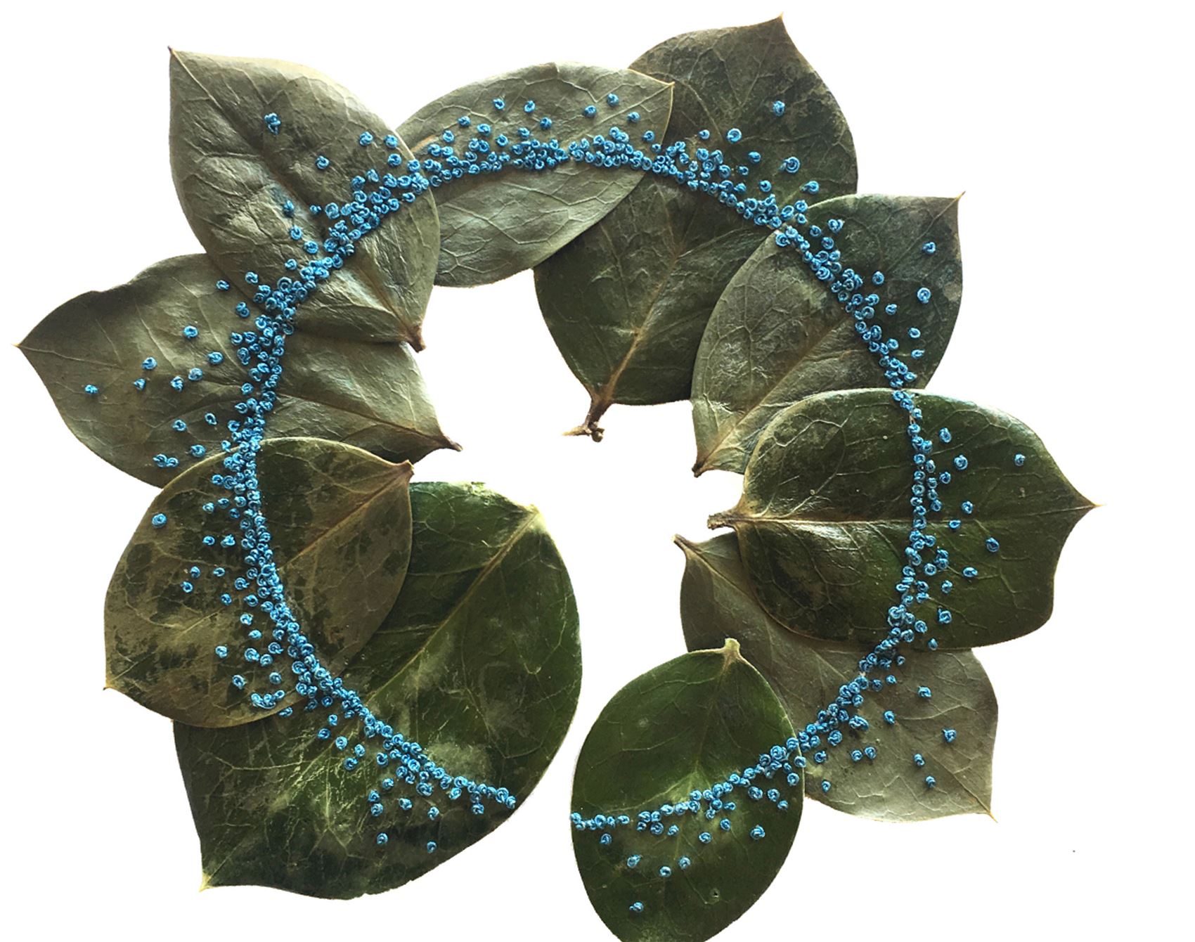 this artist delicately cuts and stitches botanicals by hand