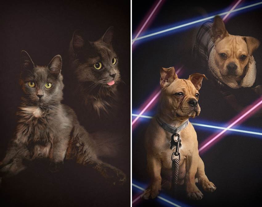 this artist makes personalised &#8217;80s-style portraits of your pet