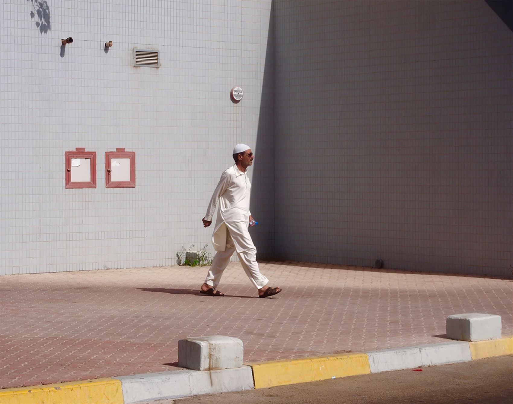 aude delannoy dib’s vibrant view of the world