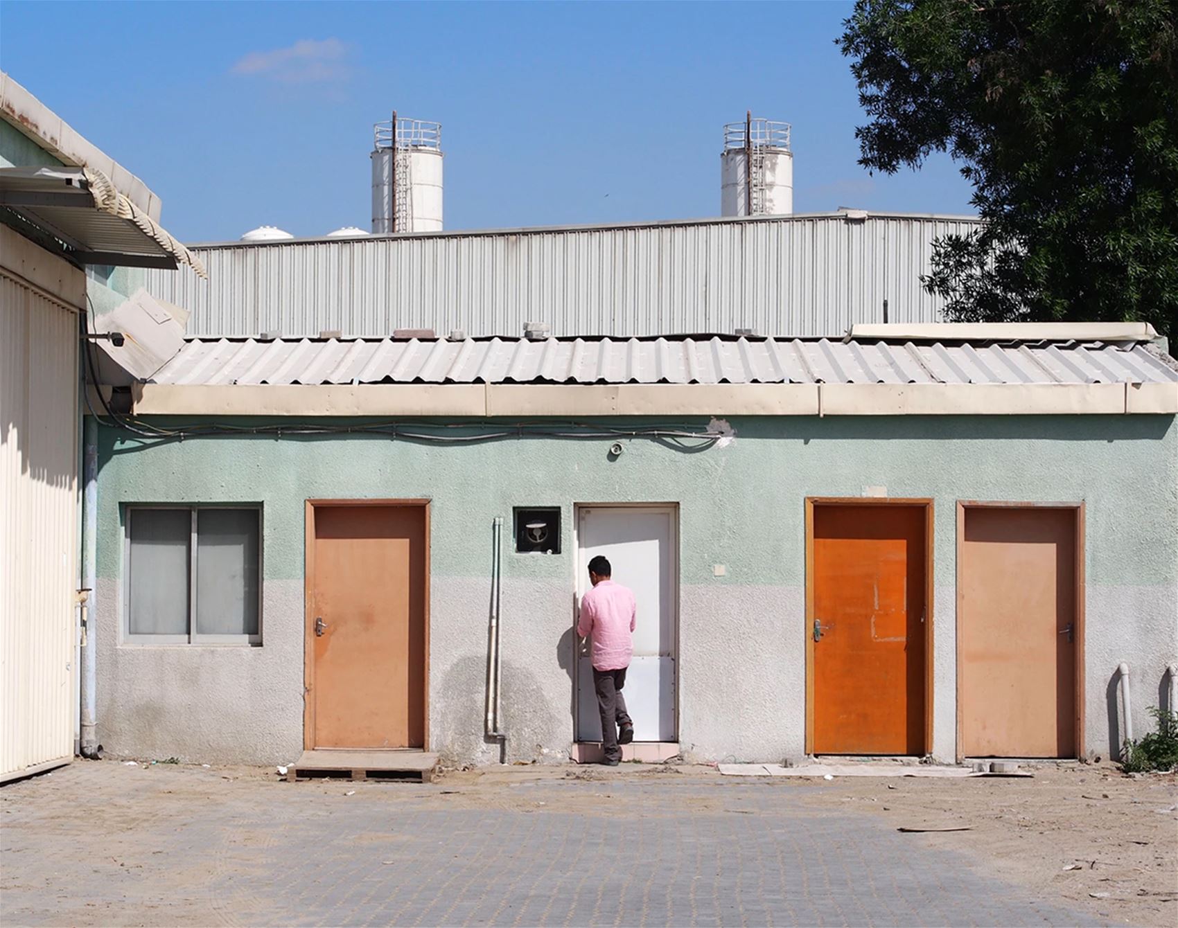 aude delannoy dib’s vibrant view of the world