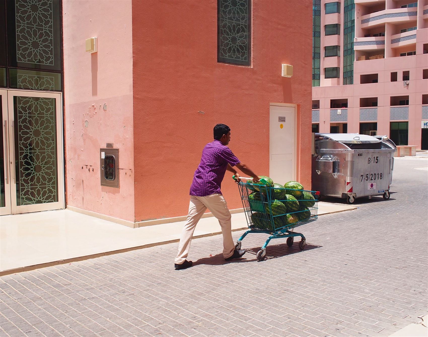 aude delannoy dib’s vibrant view of the world