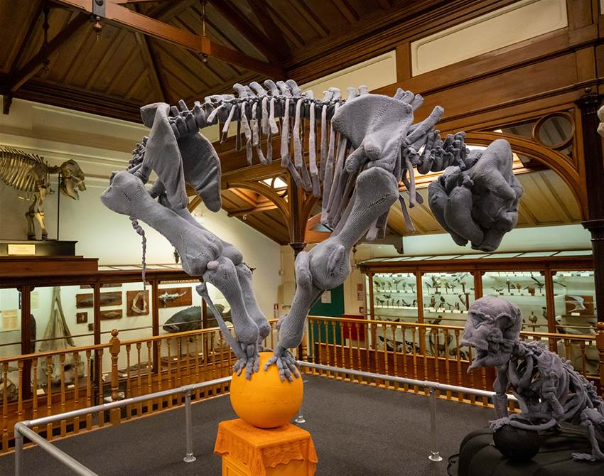 spy these life-sized knitted animal skeletons