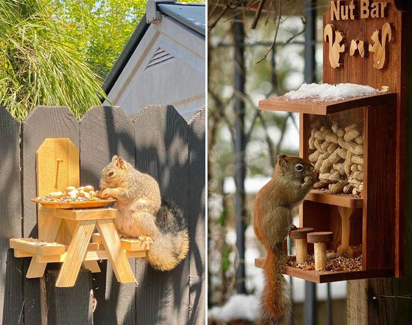 get a load of these quirky animal feeders