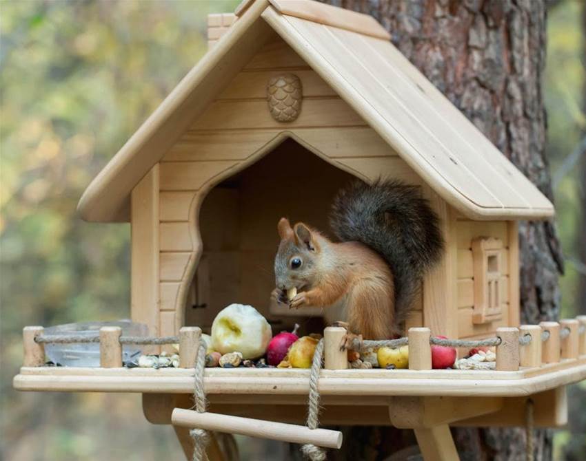 get a load of these quirky animal feeders