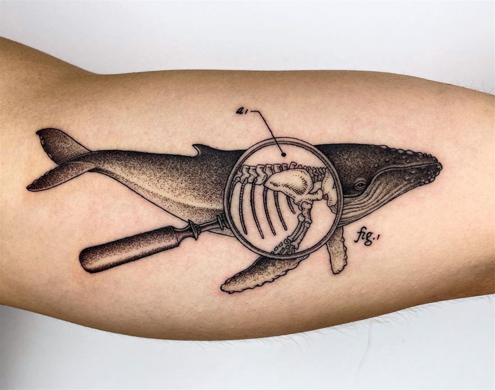 michele volpi’s scientific ink