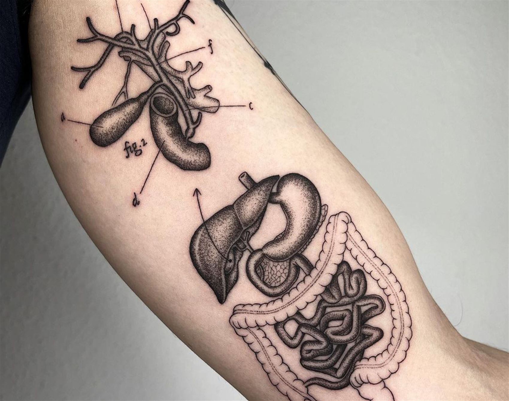 michele volpi’s scientific ink