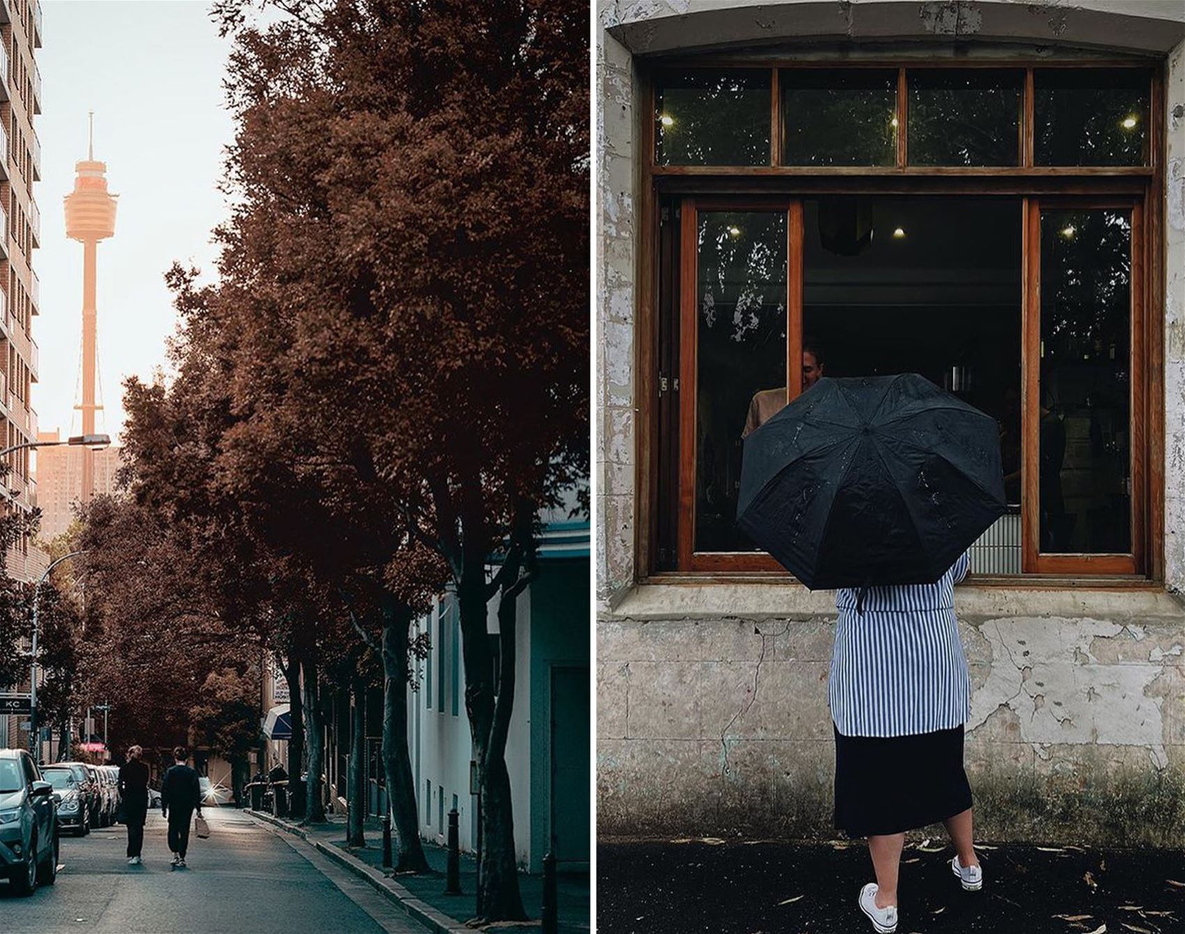 pretty little sydney showcases the city’s loveliest spots