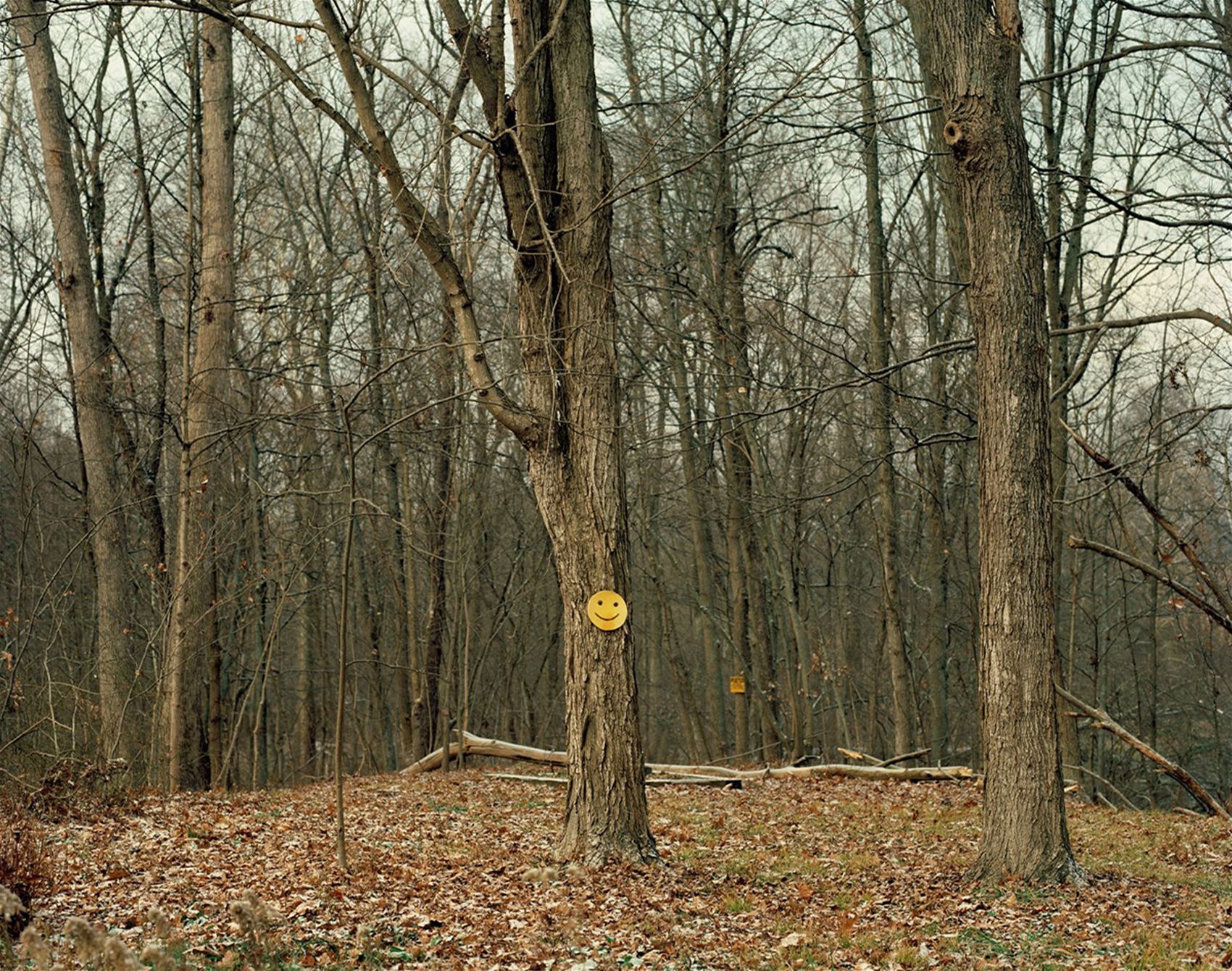 dana stirling’s photographs take a look at mental health and childhood