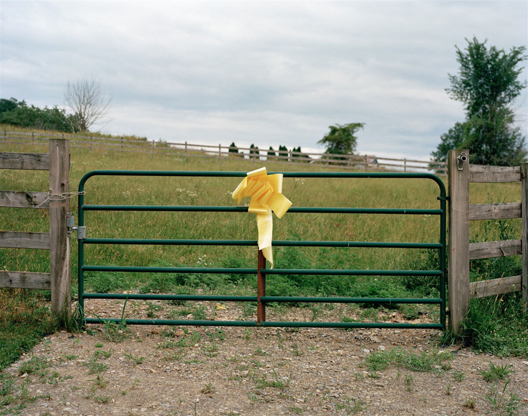 dana stirling’s photographs take a look at mental health and childhood