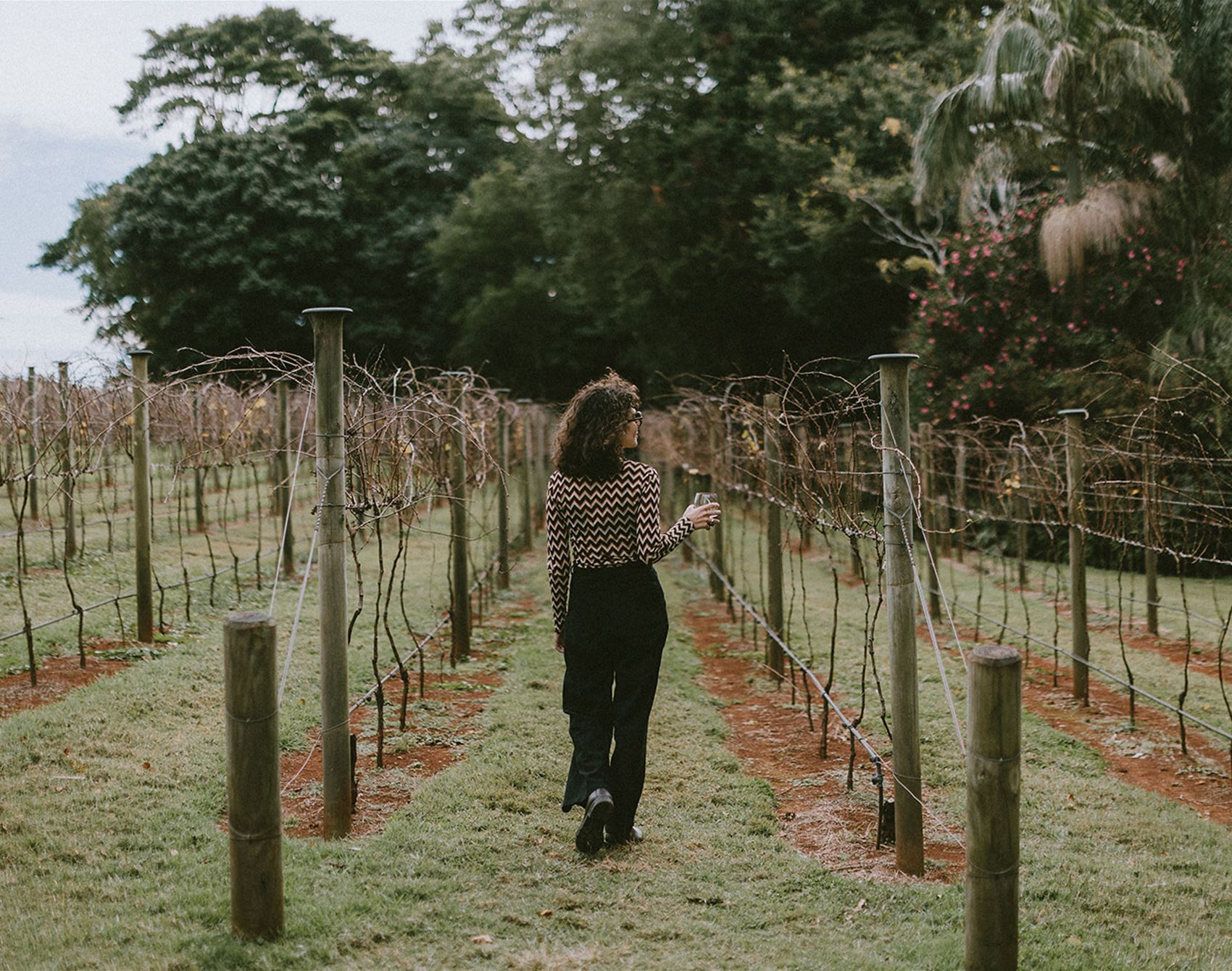 mountain-top winery bliss and platypus-spotting on the gold coast