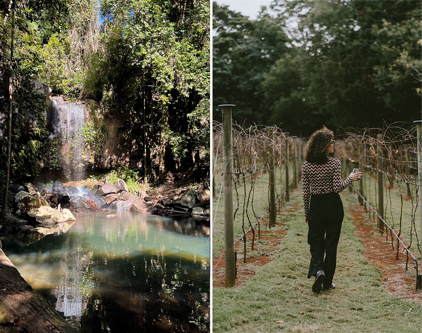 mountain-top winery bliss and platypus-spotting on the gold coast