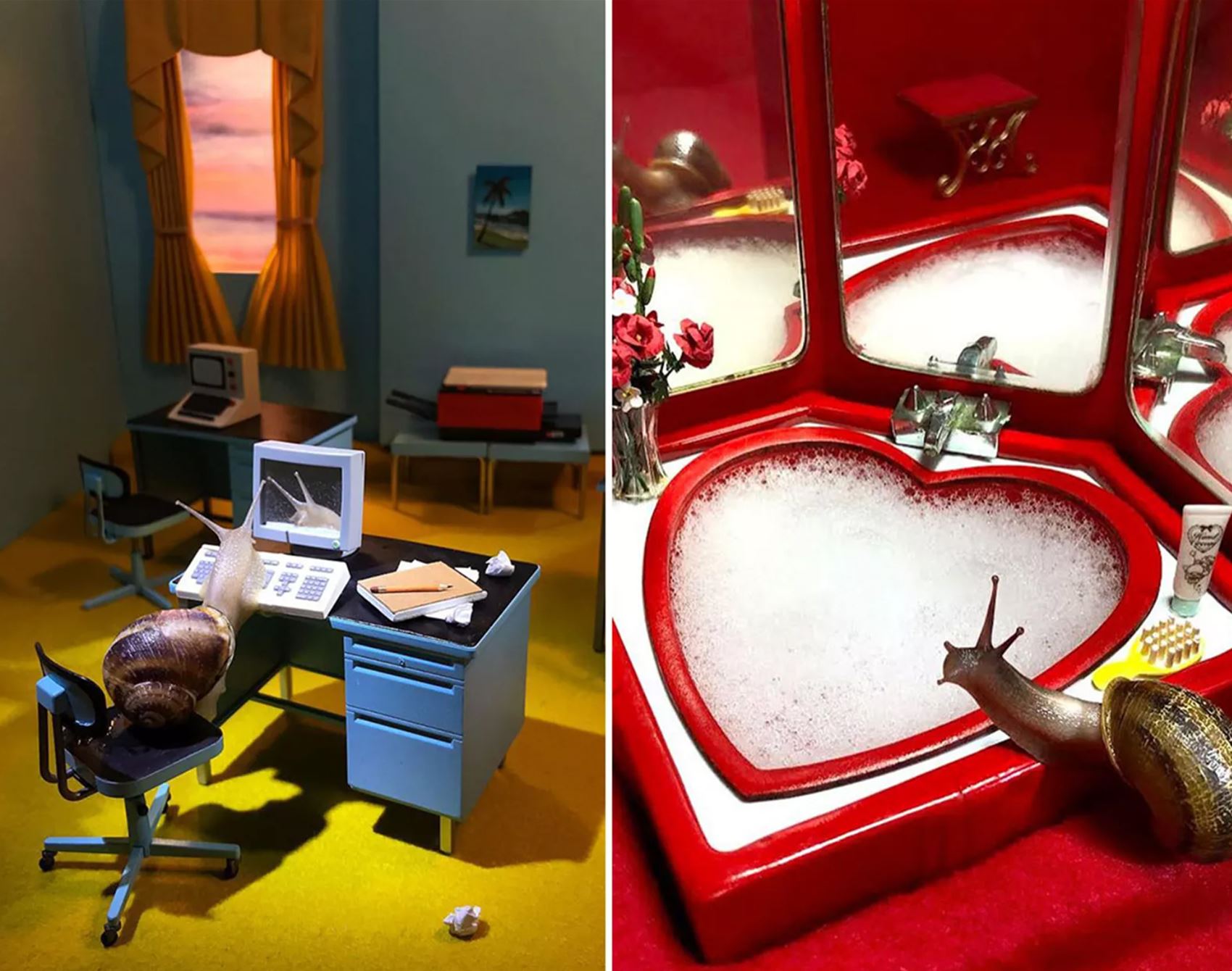 welcome to snail world