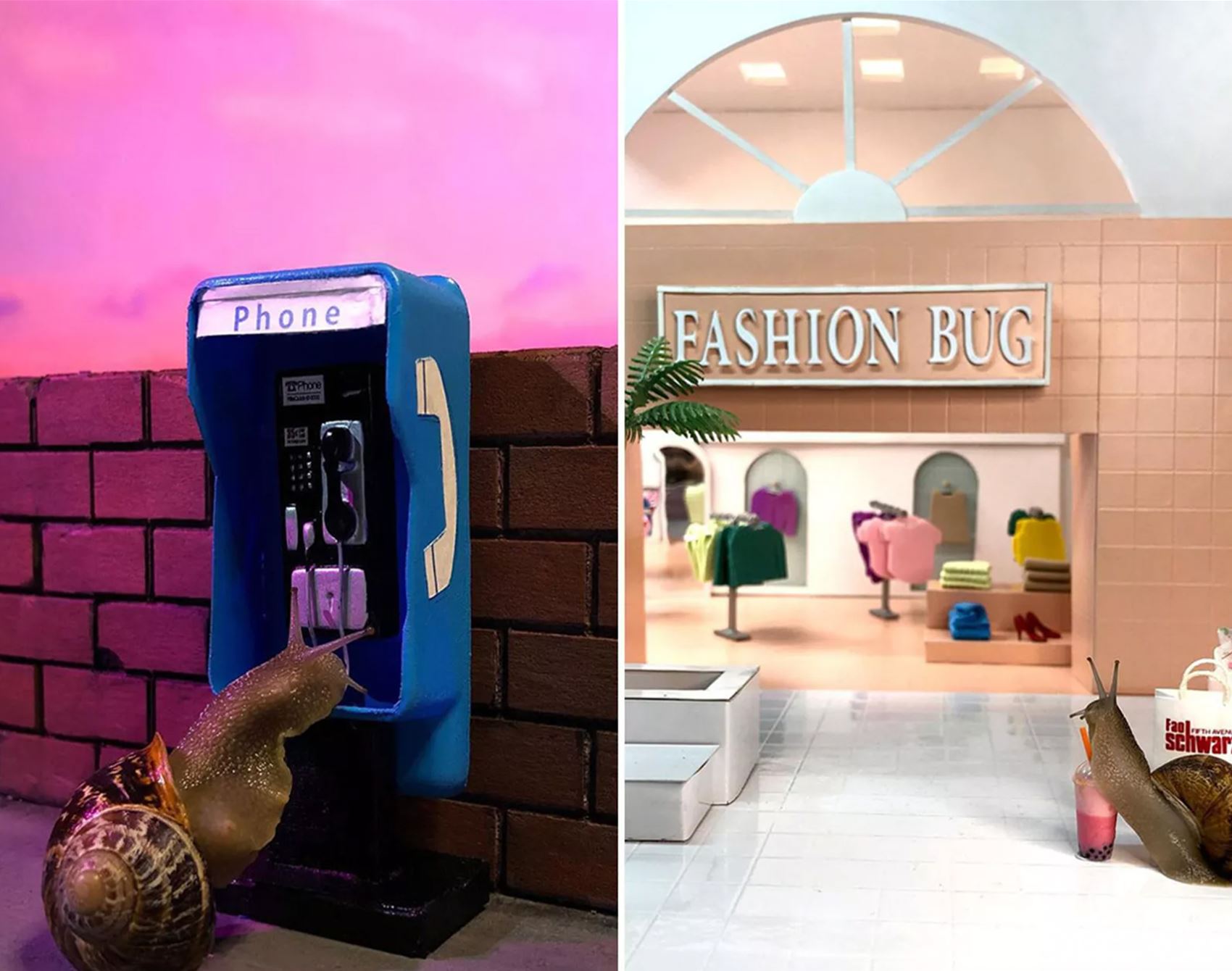 welcome to snail world