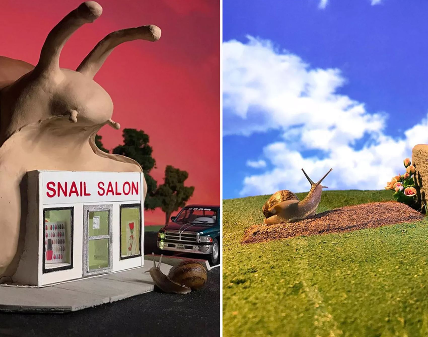 welcome to snail world