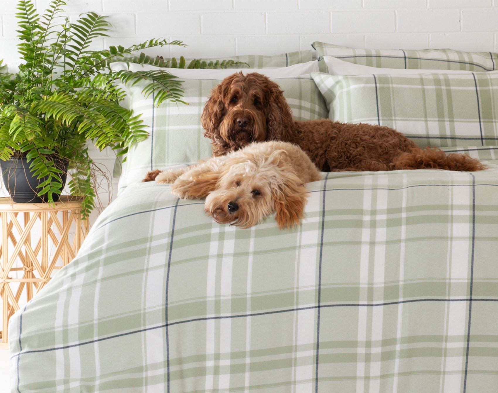 take a gander at bhumi’s cosy wares