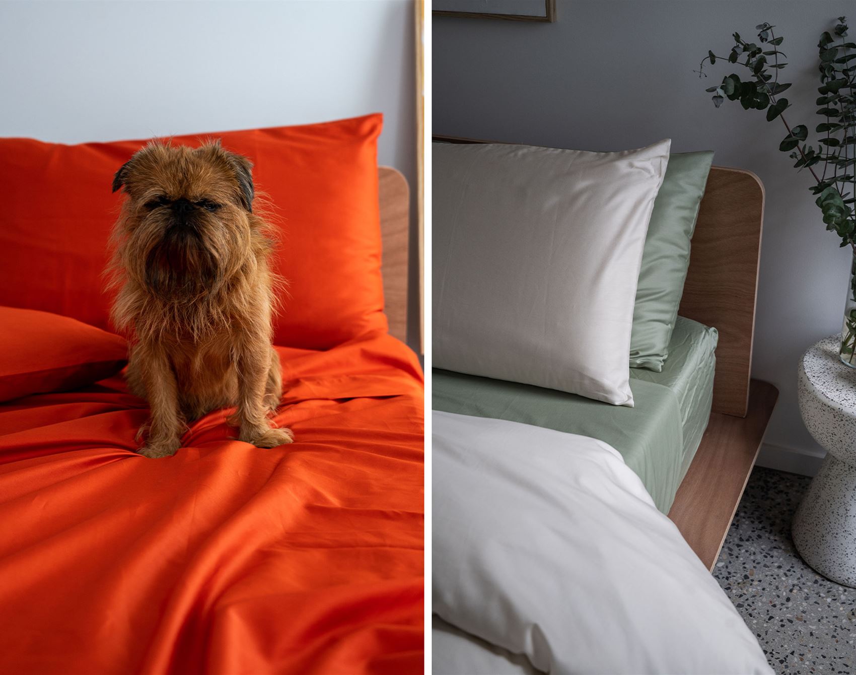 take a gander at bhumi’s cosy wares