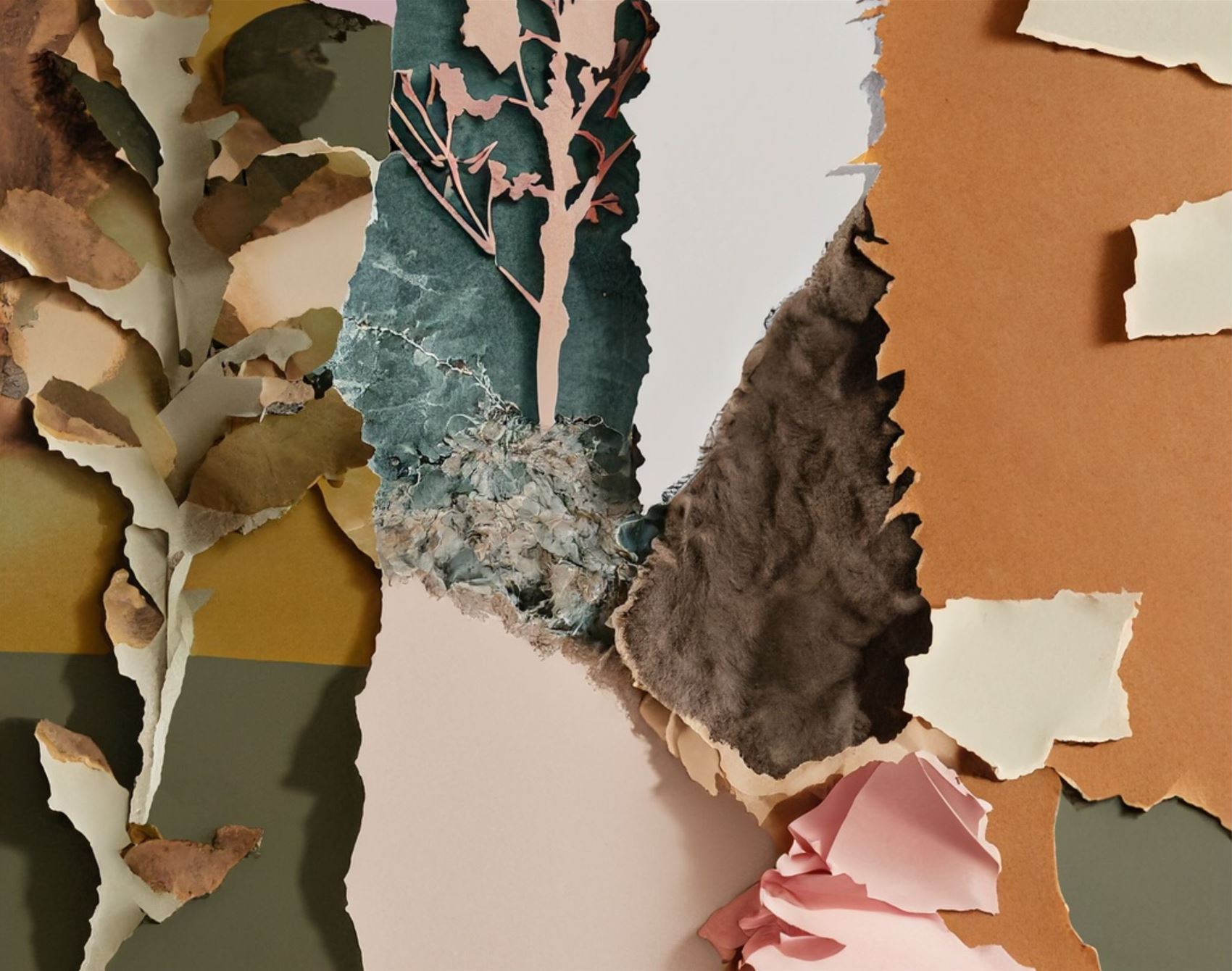 scribble club gallery: flower power with adobe firefly