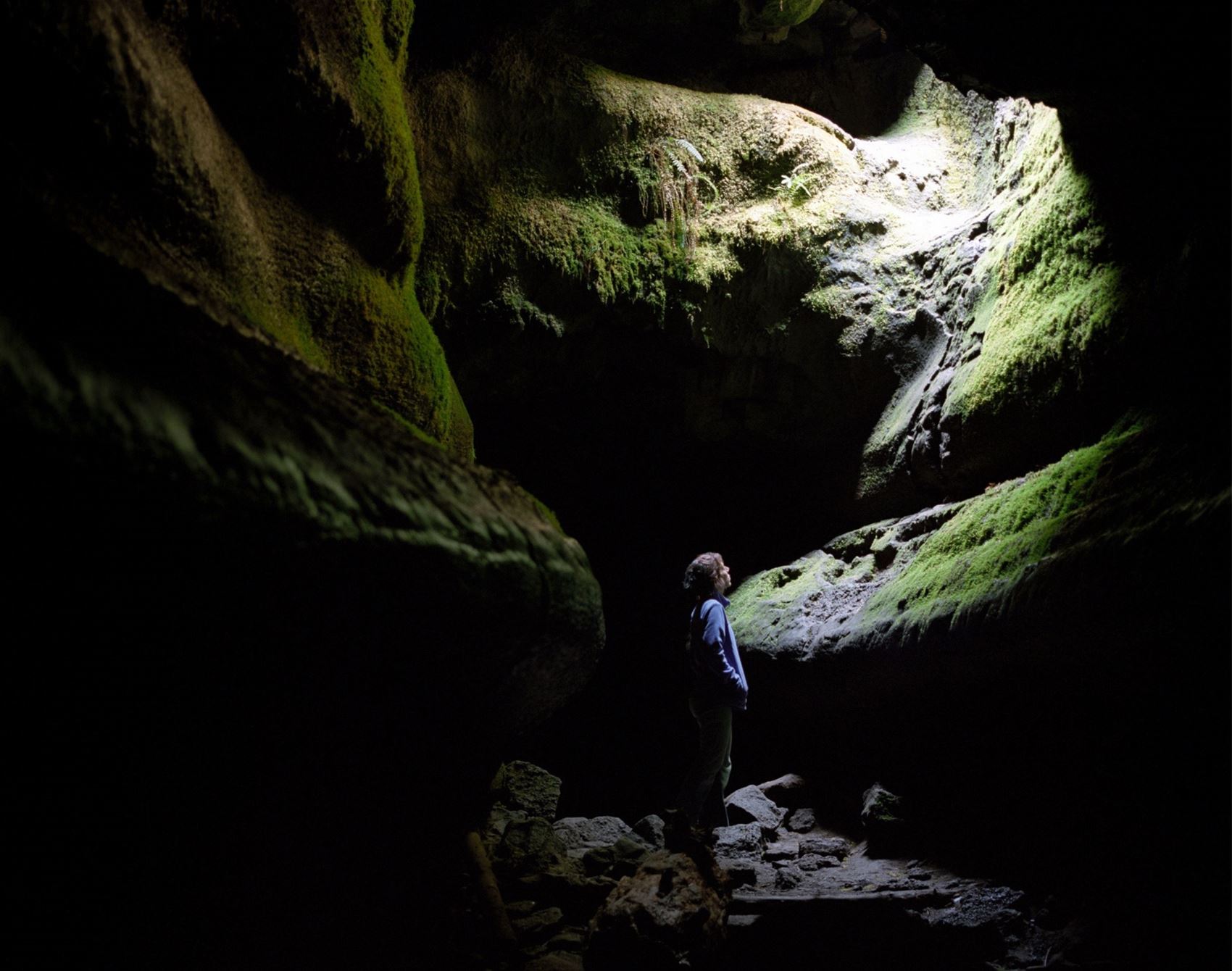 frankie's guide to a wild, weird and wonderful week in washington state