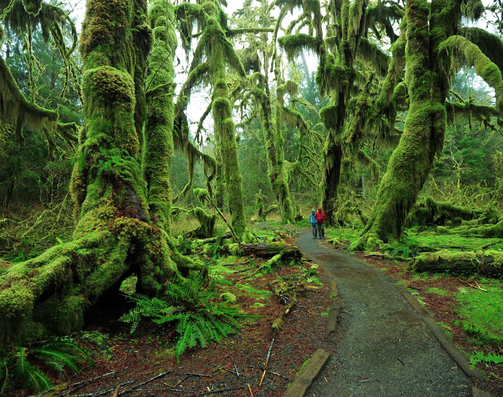 frankie's guide to a wild, weird and wonderful week in washington state