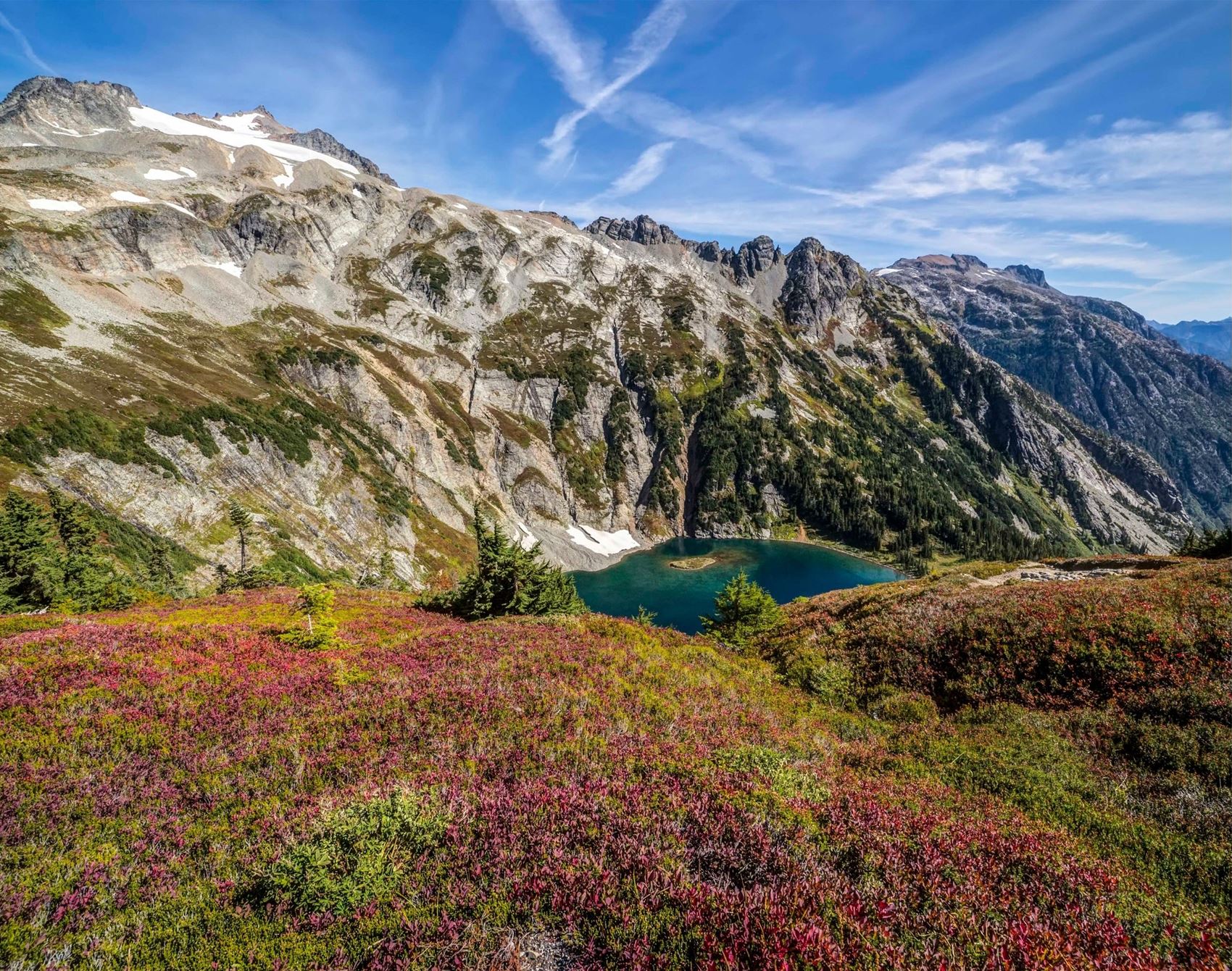 frankie's guide to a wild, weird and wonderful week in washington state