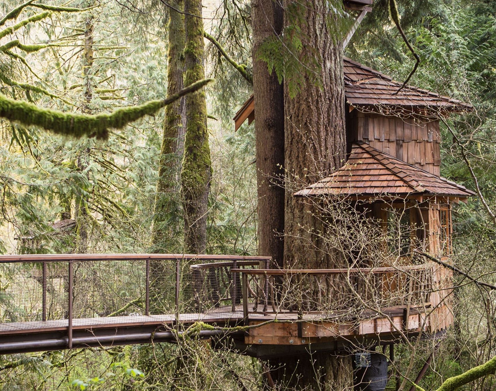 frankie's guide to a wild, weird and wonderful week in washington state