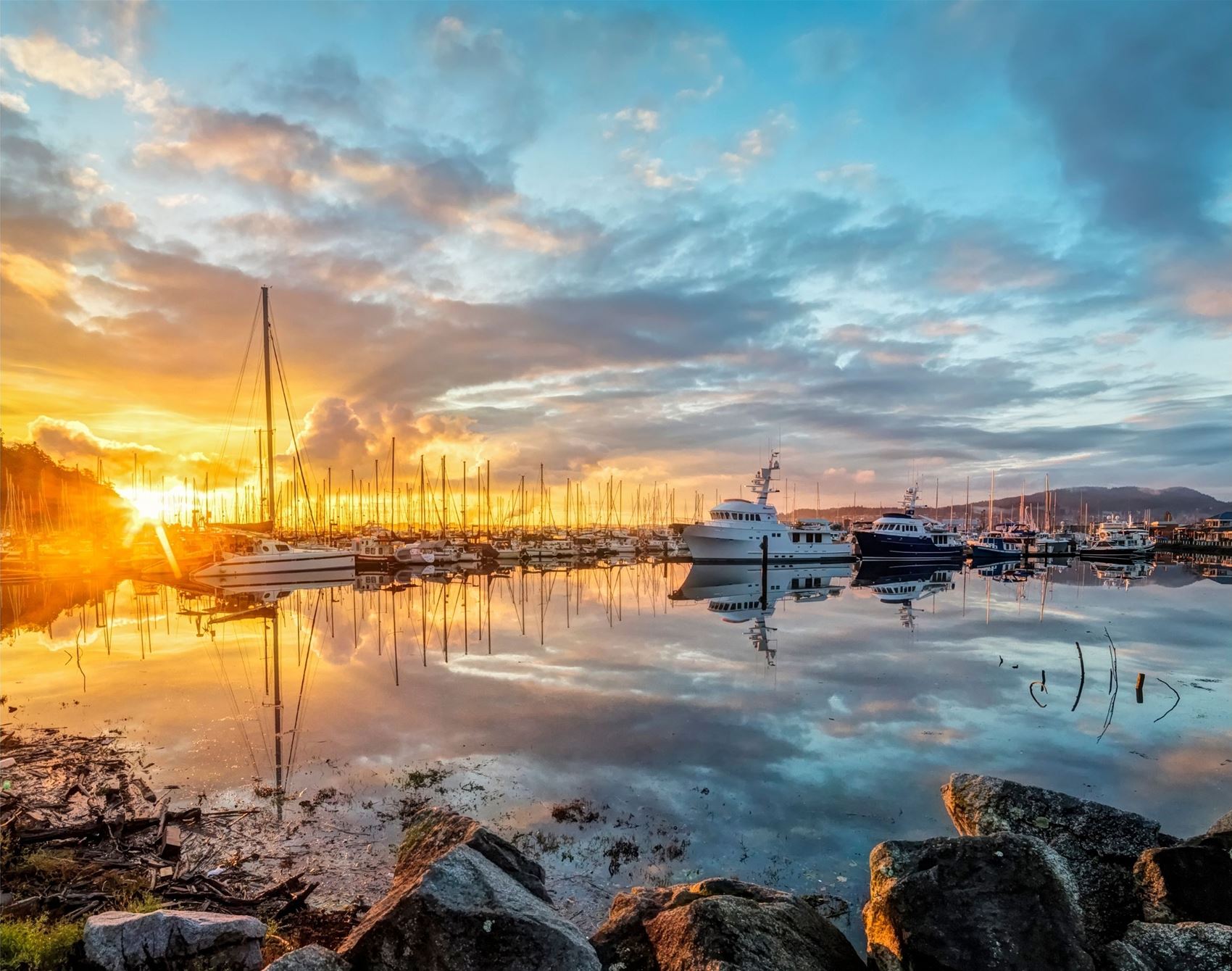 frankie's guide to a wild, weird and wonderful week in washington state