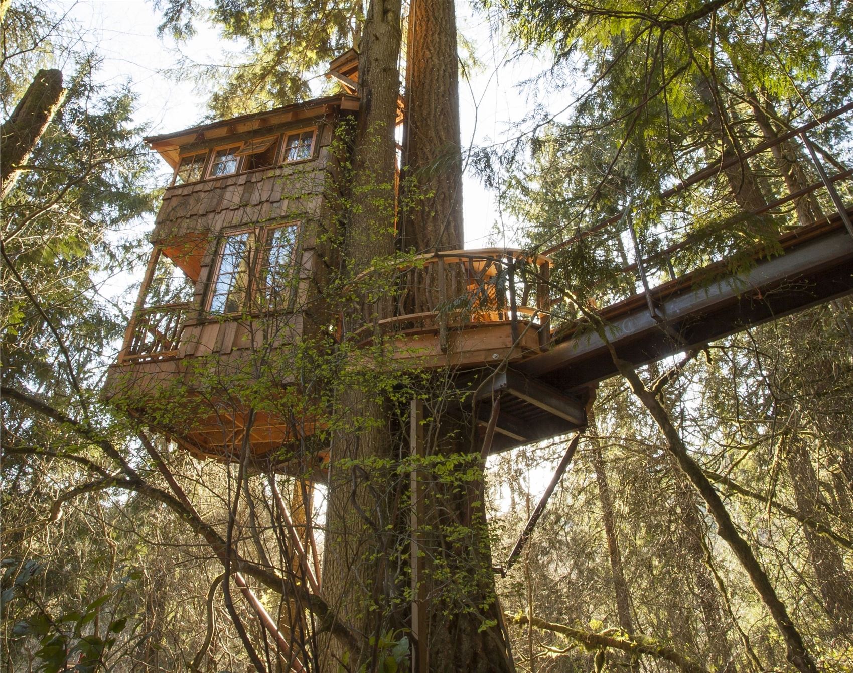 frankie's guide to a wild, weird and wonderful week in washington state