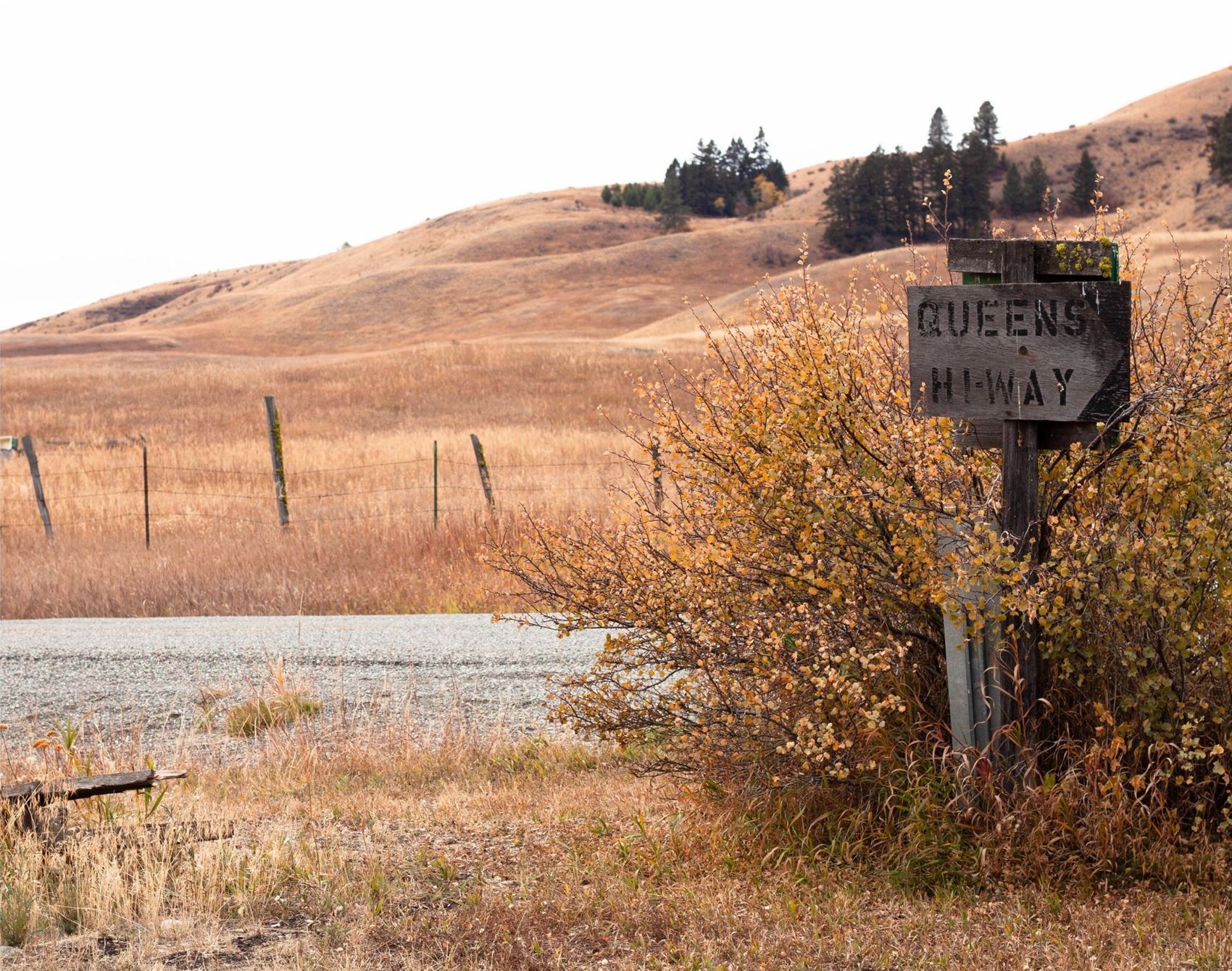 frankie's guide to a wild, weird and wonderful week in washington state