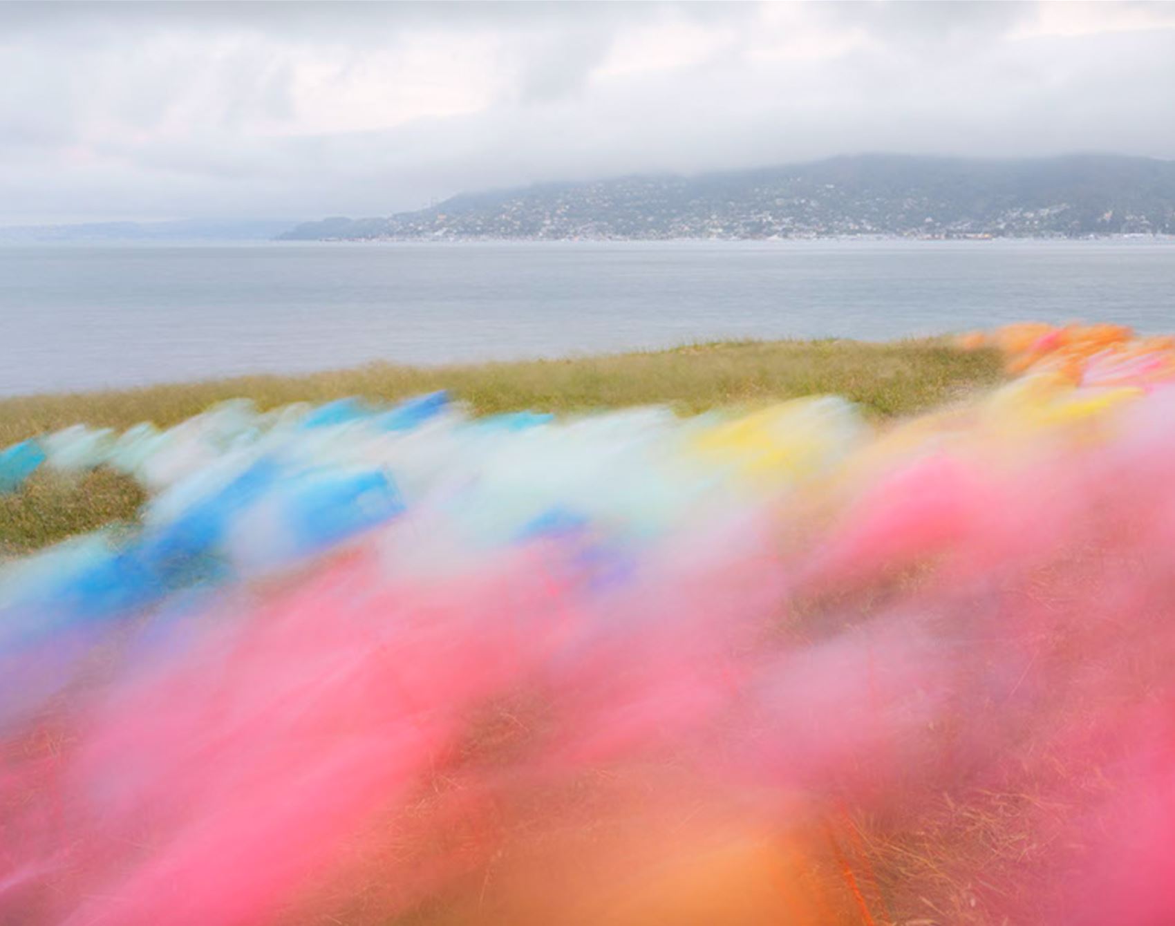 take a gander at thomas jackson’s floaty tulle snaps