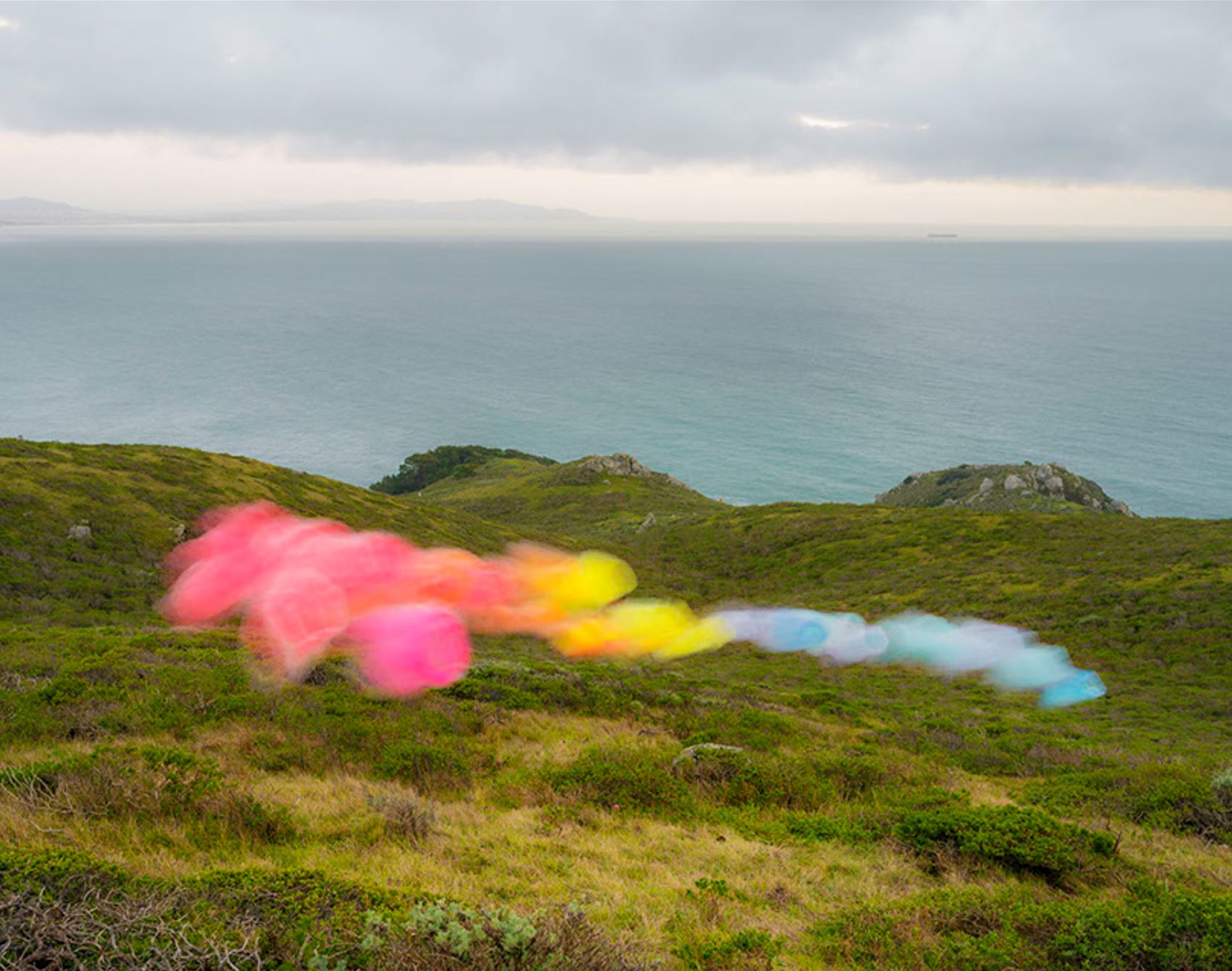 take a gander at thomas jackson’s floaty tulle snaps