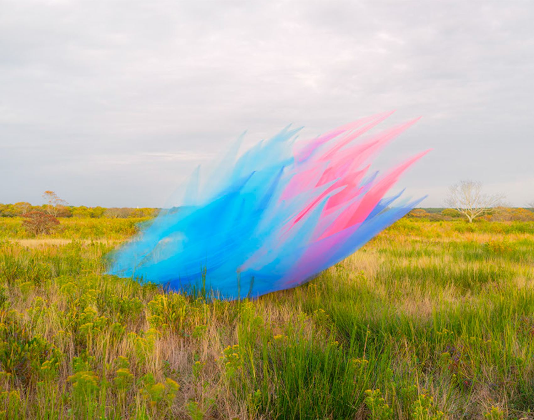 take a gander at thomas jackson’s floaty tulle snaps