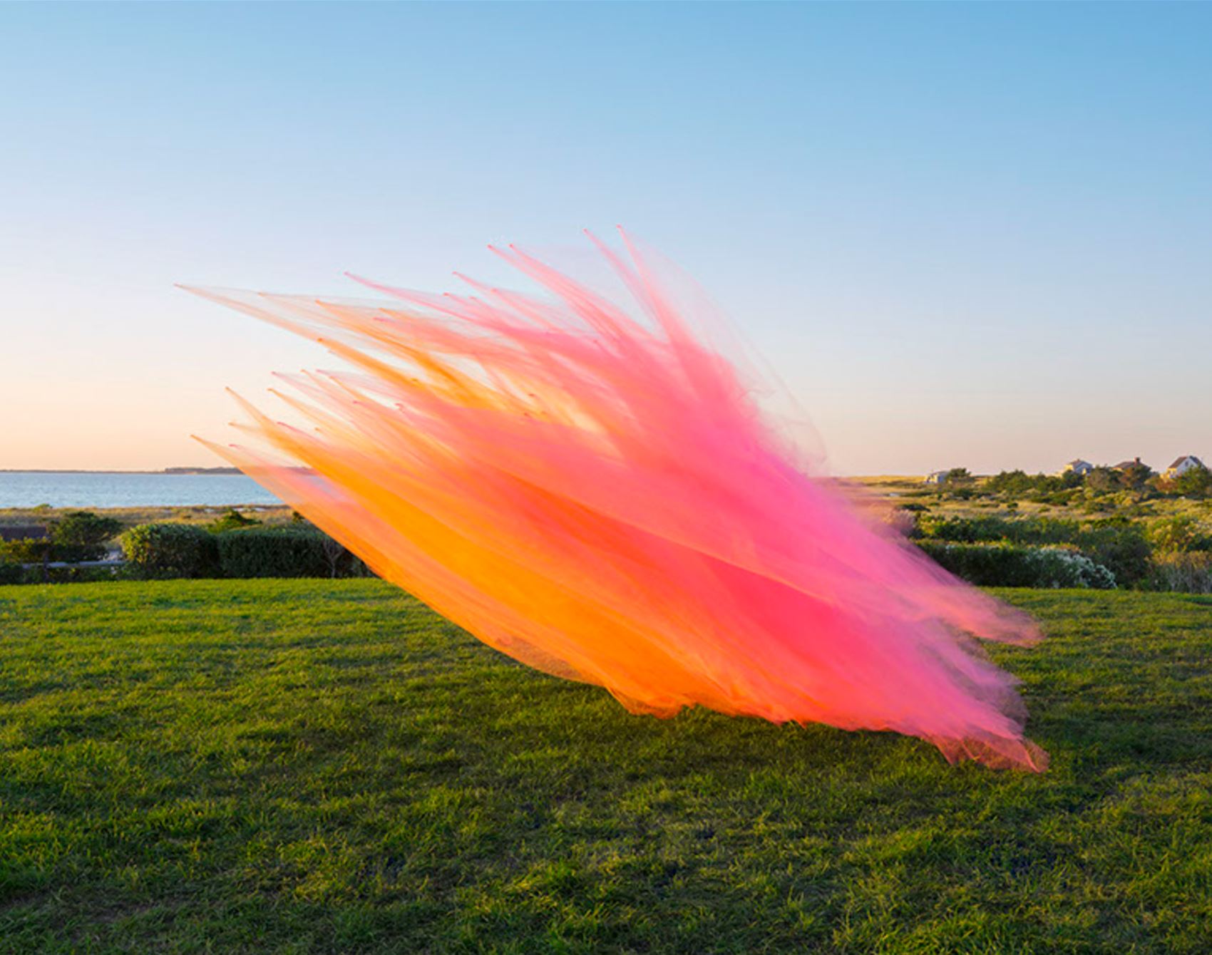 take a gander at thomas jackson’s floaty tulle snaps