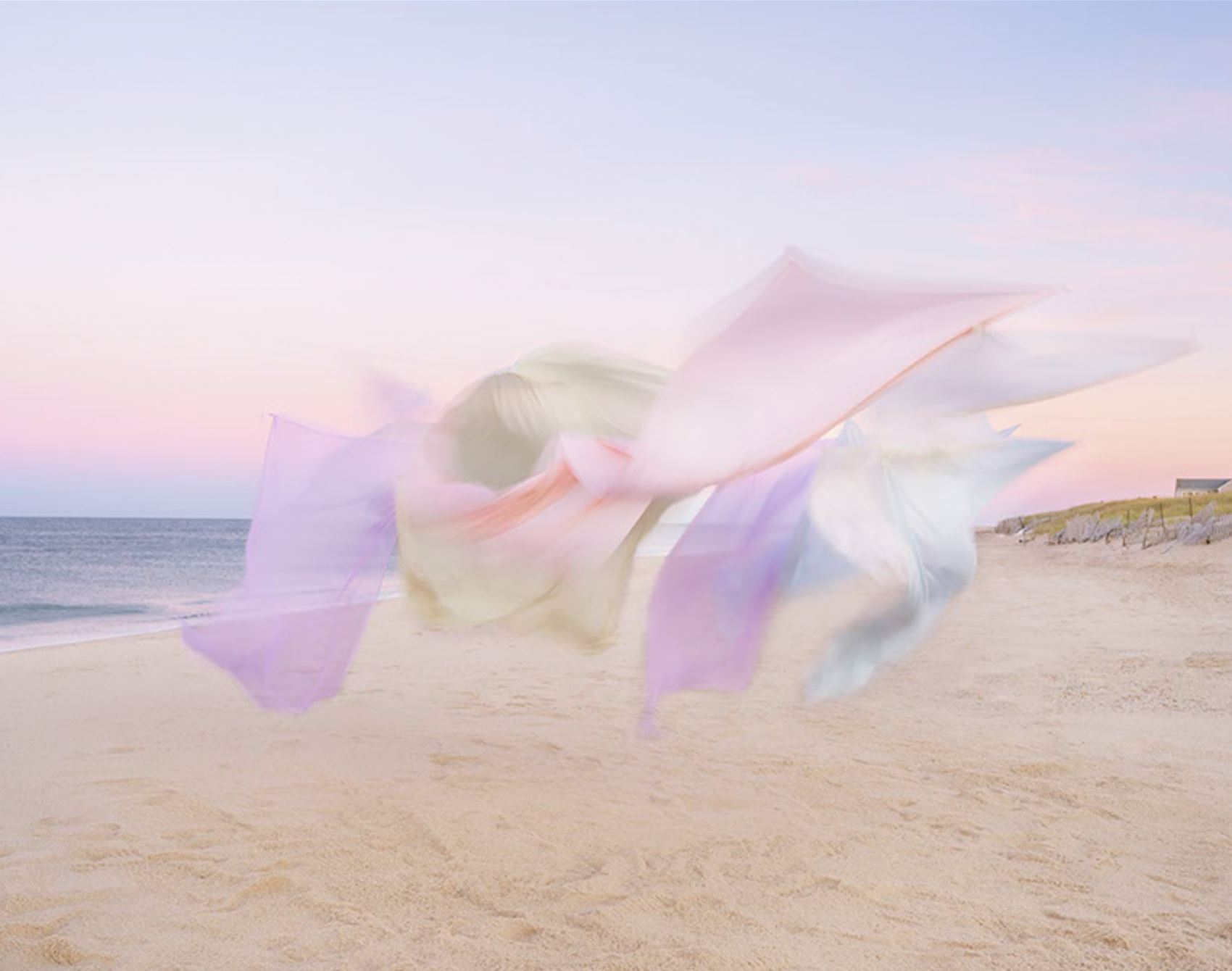 take a gander at thomas jackson’s floaty tulle snaps