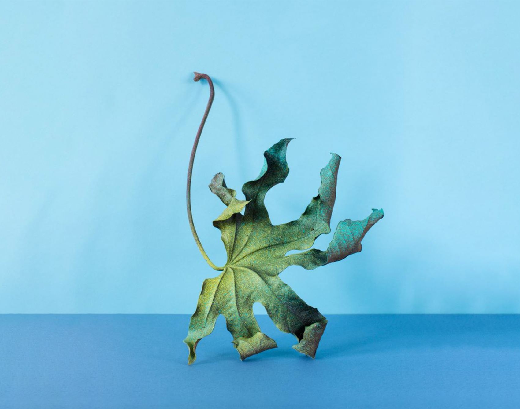 peep alessandra d’innella’s technicolour floral snaps