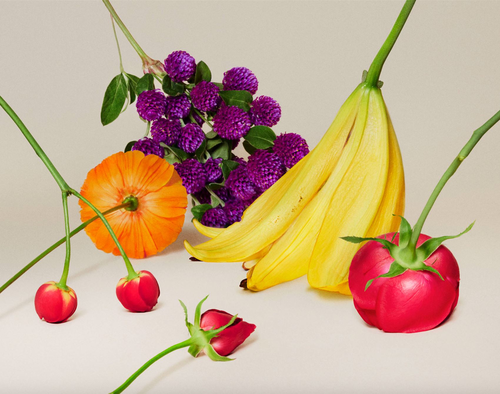 check out yuni yoshida’s surreal fruit snaps