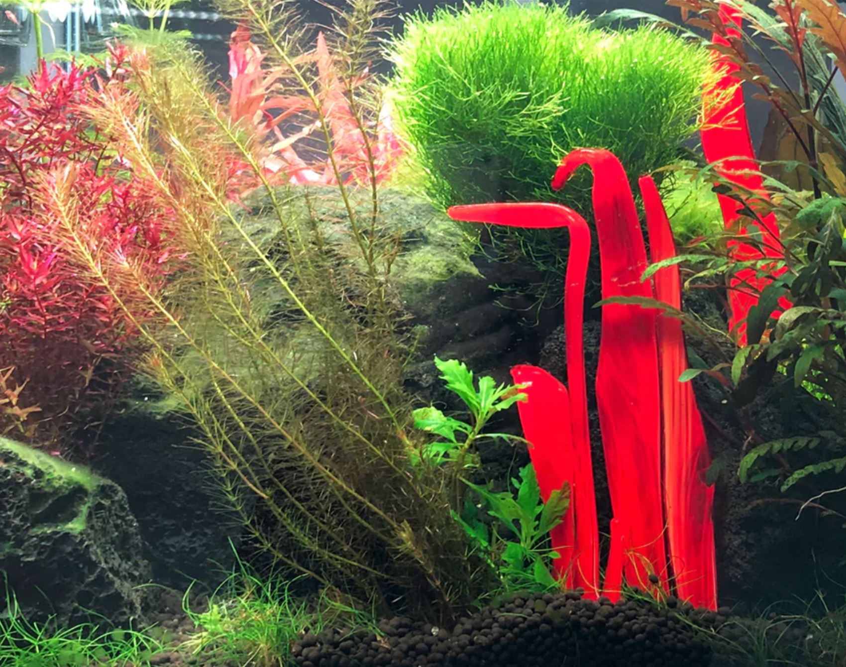 rad stained glass homewares by a fiery heart