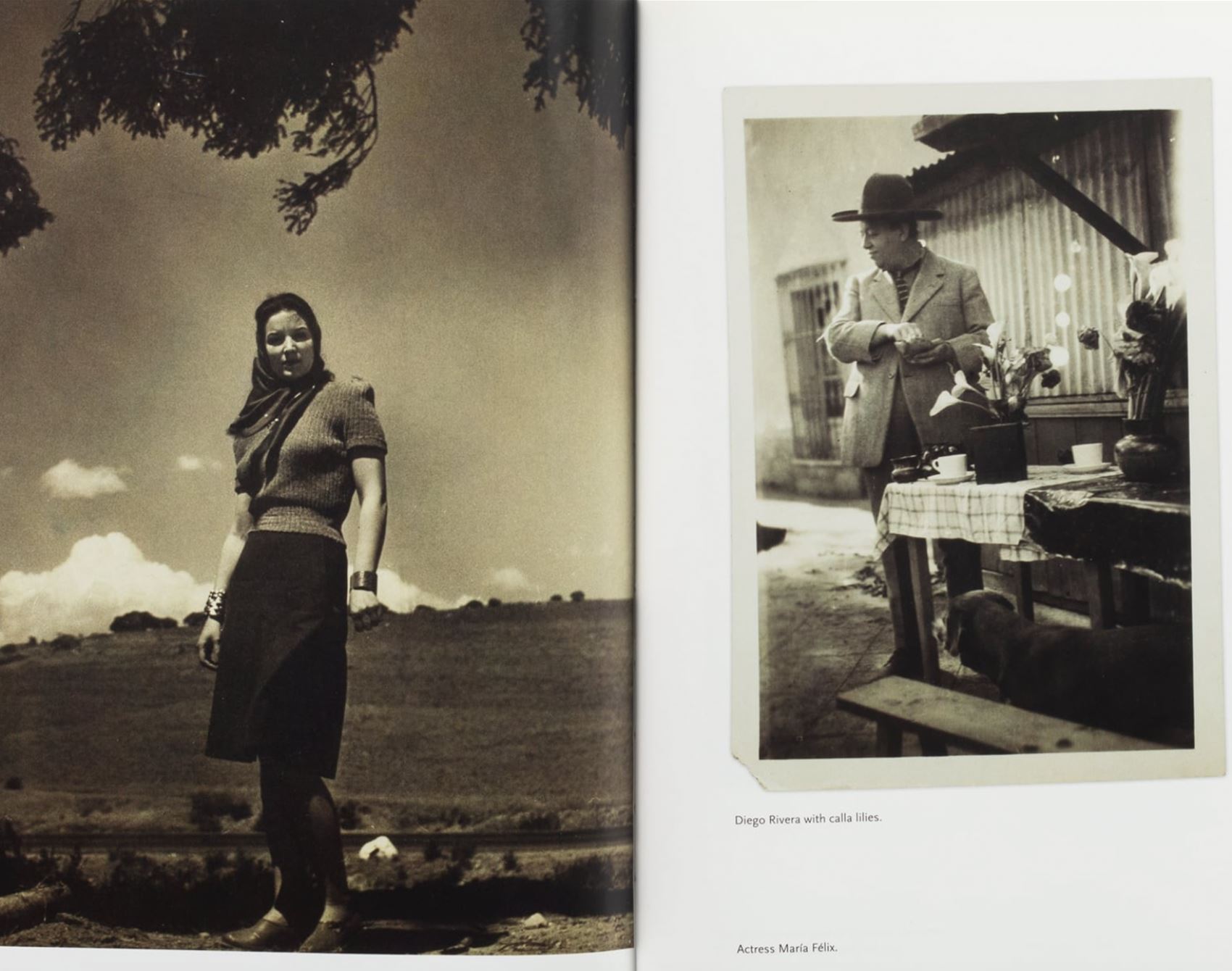 take a gander at frida kahlo’s personal photography collection