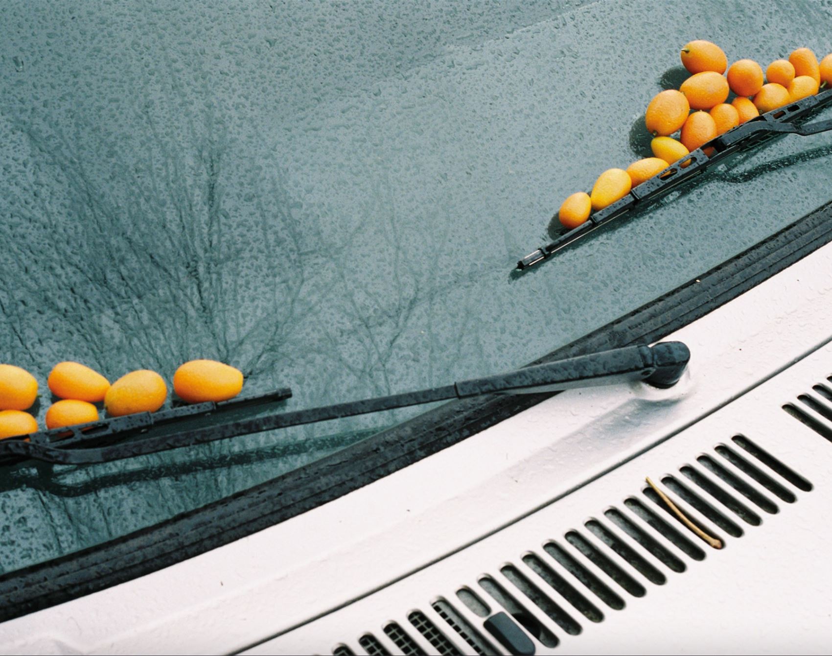 this berlin shutterbug snaps fruit and veggies on cars