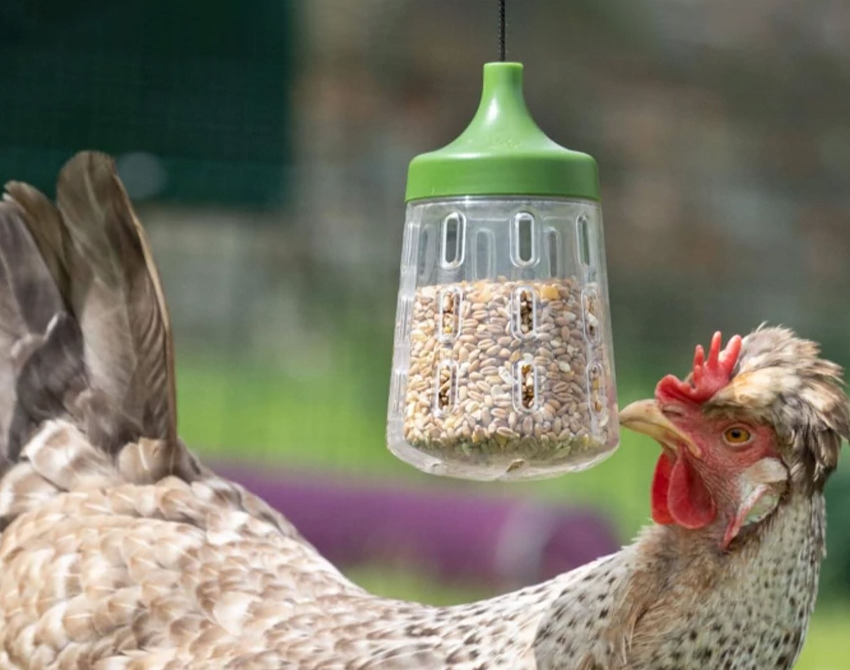 a list of super-cute pet furniture and accessories