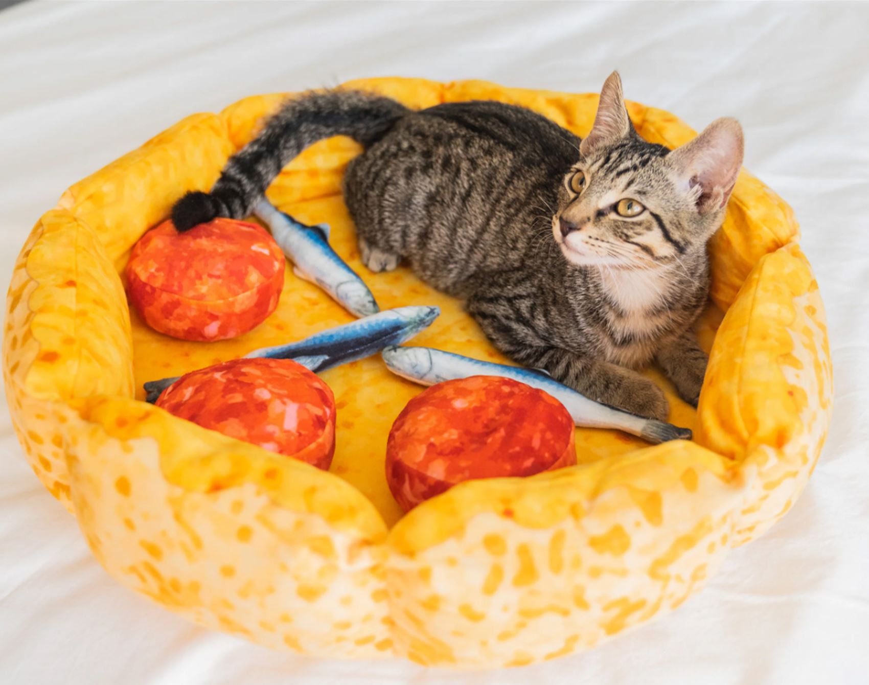 a list of super-cute pet furniture and accessories