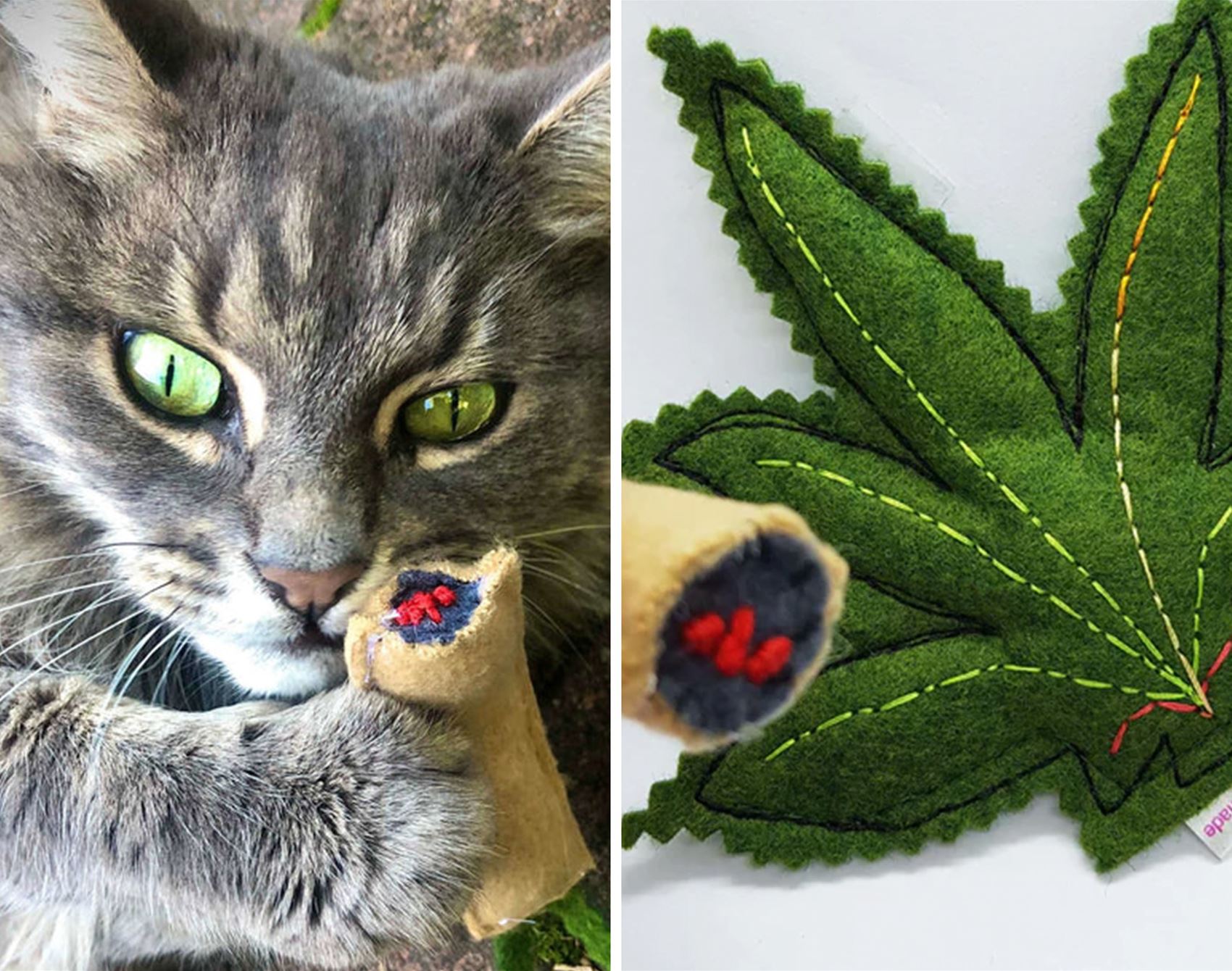 a list of super-cute pet furniture and accessories