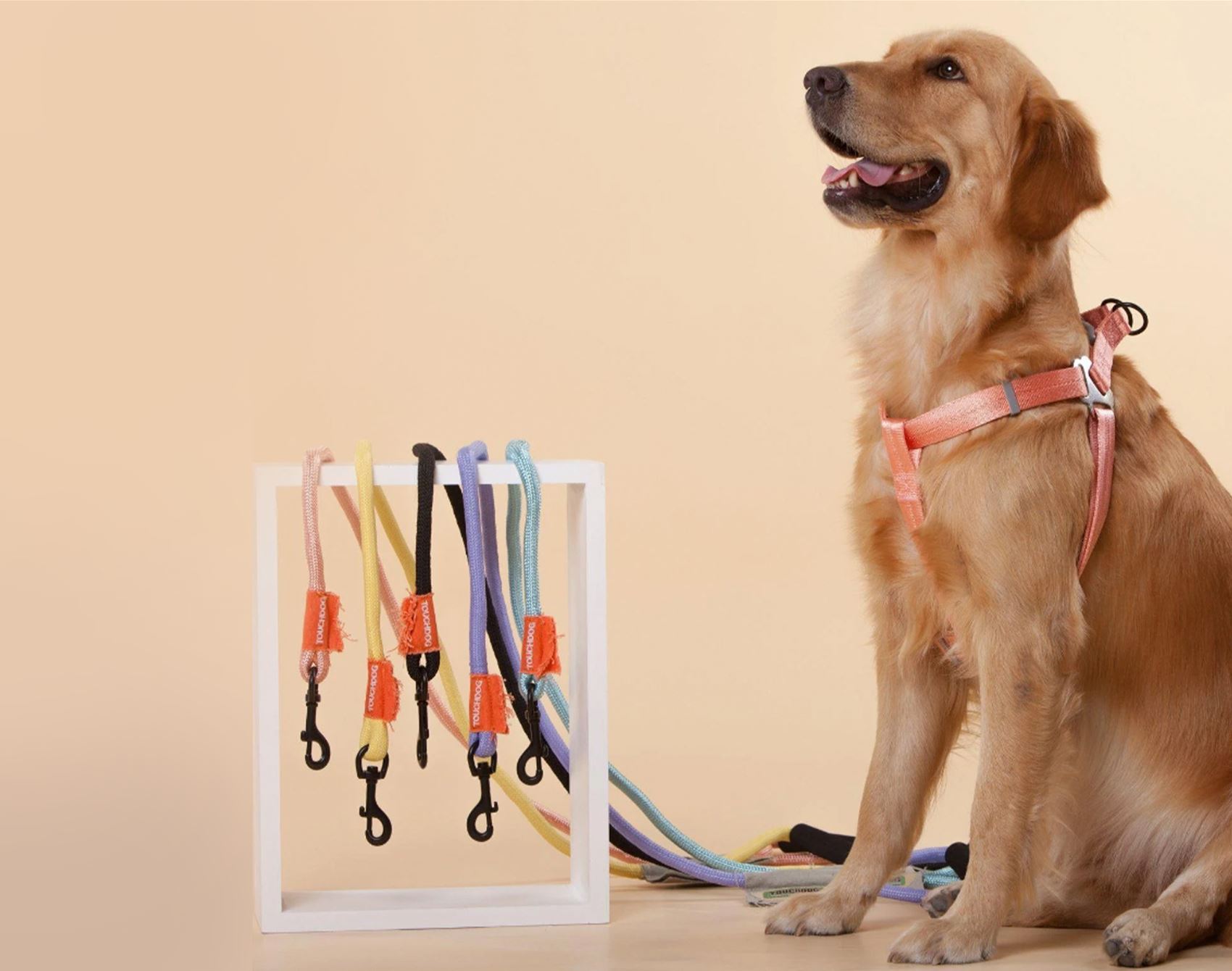 a list of super-cute pet furniture and accessories