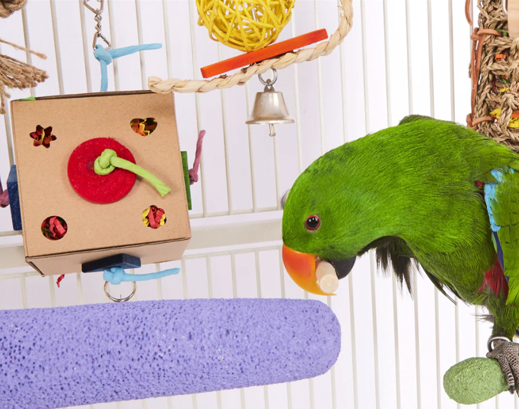a list of super-cute pet furniture and accessories