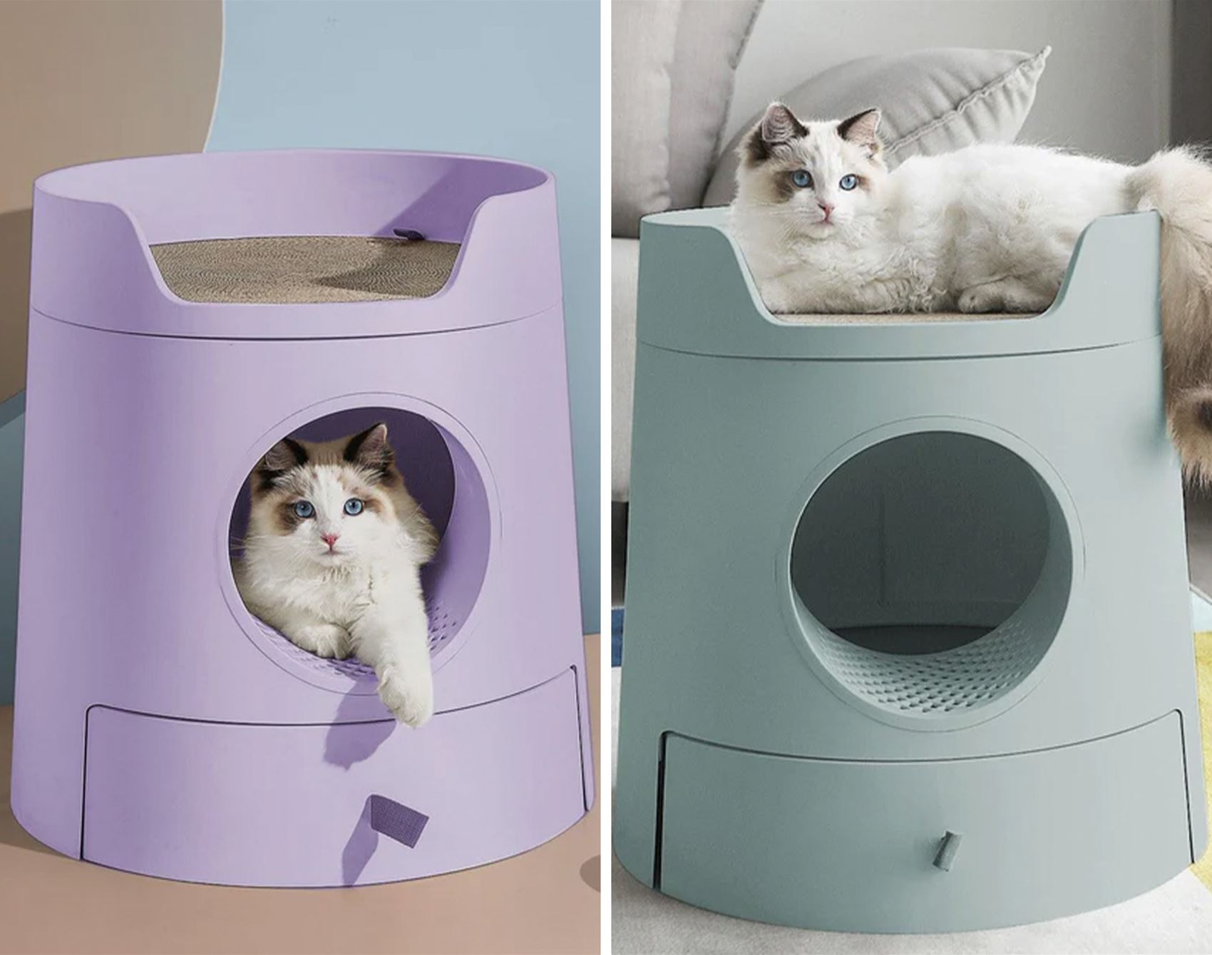 a list of super-cute pet furniture and accessories