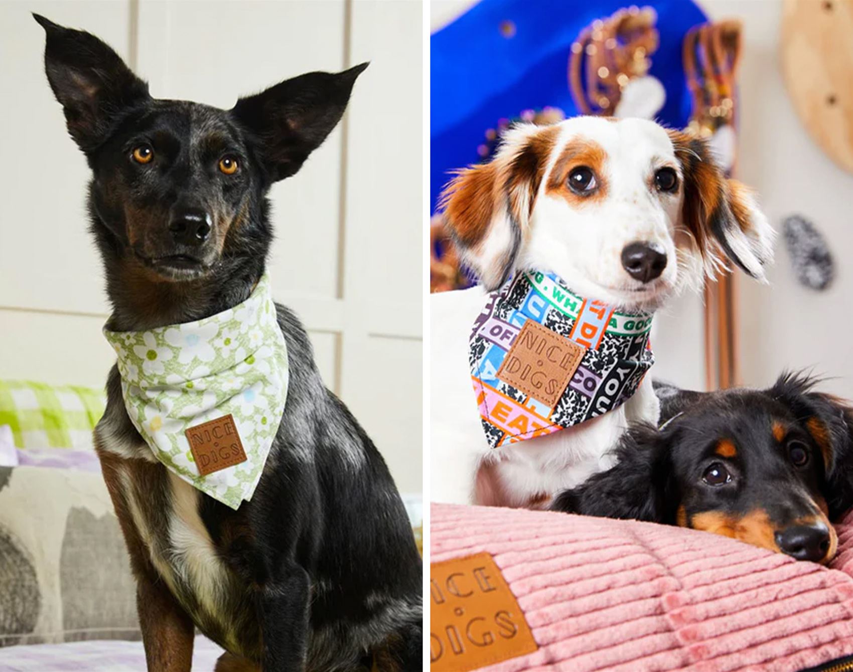 a list of super-cute pet furniture and accessories