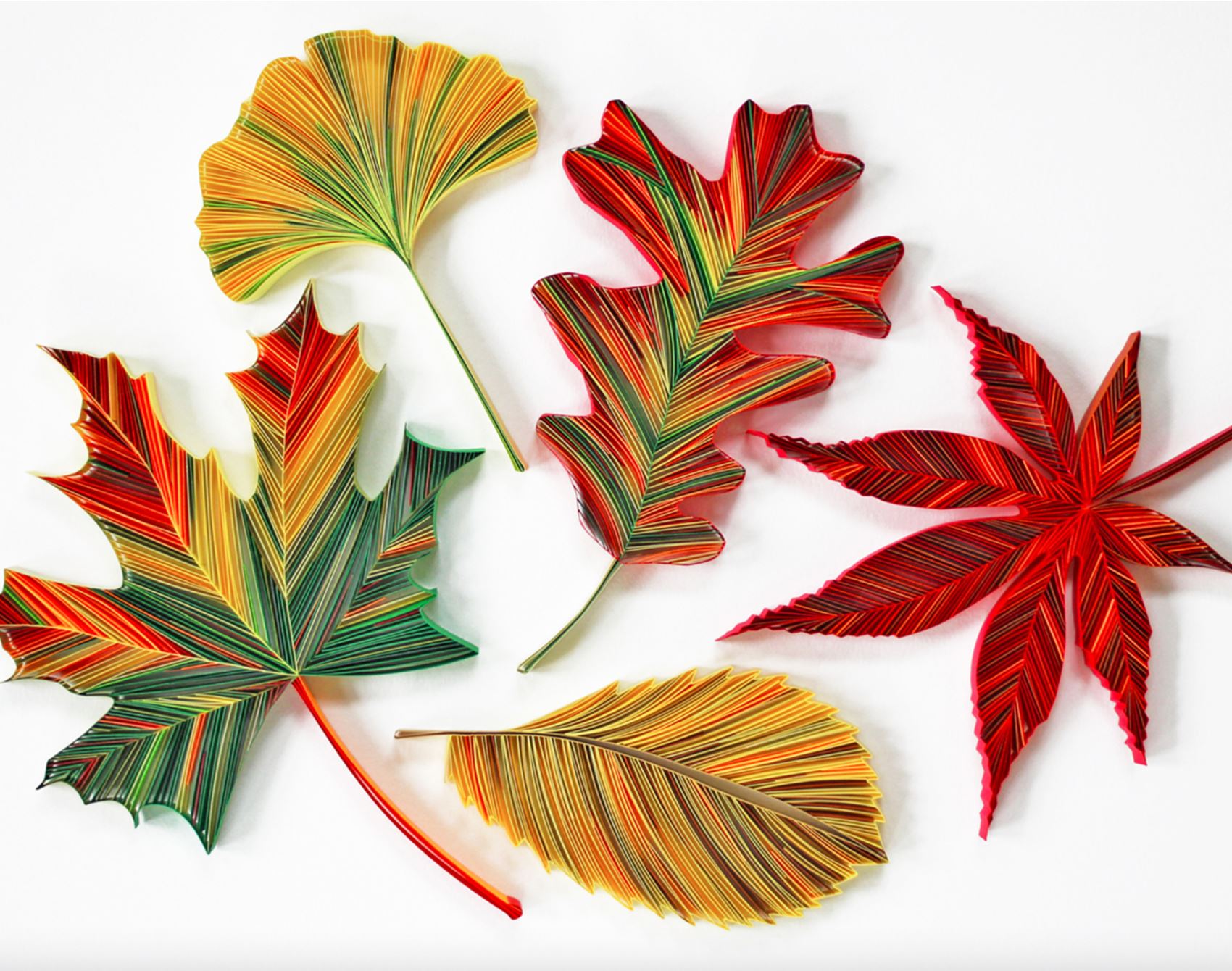 daphne lee creates stunning florals out of paper